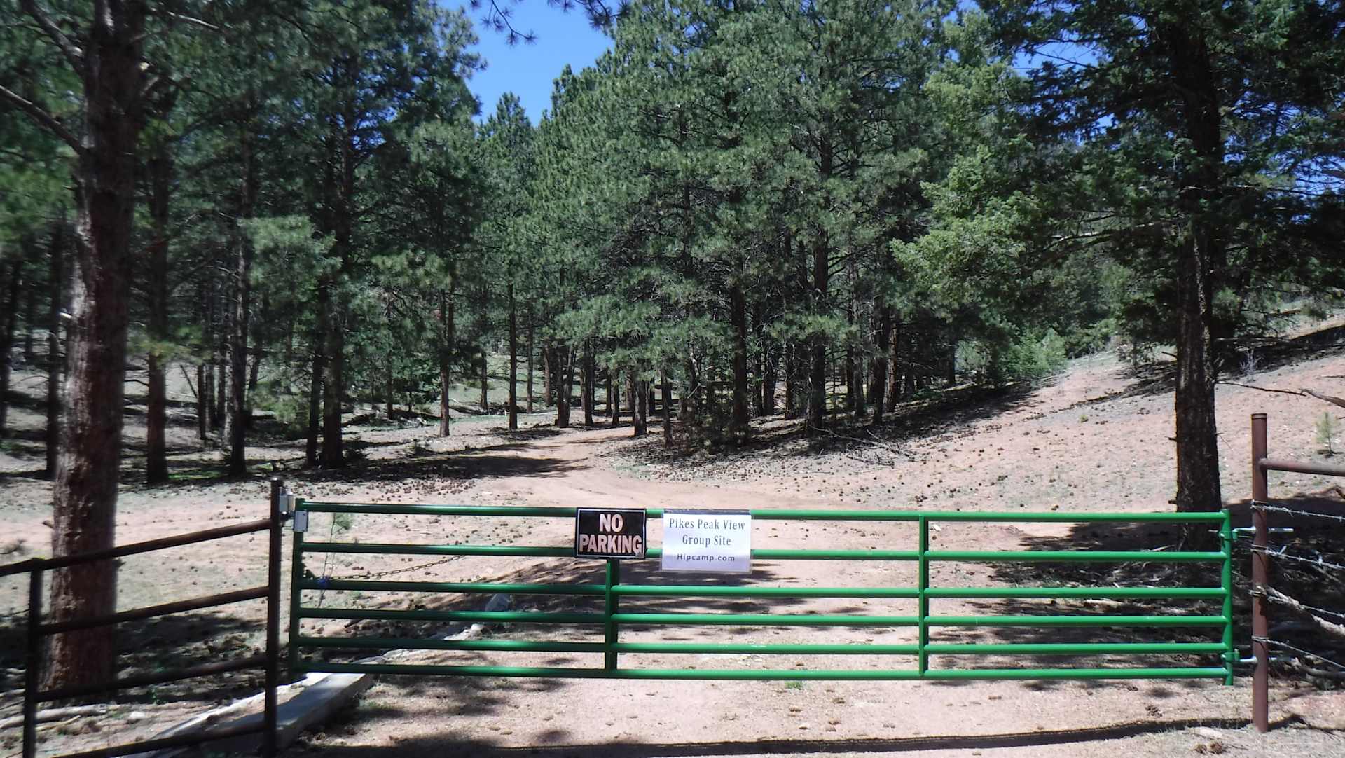 Picture of the site