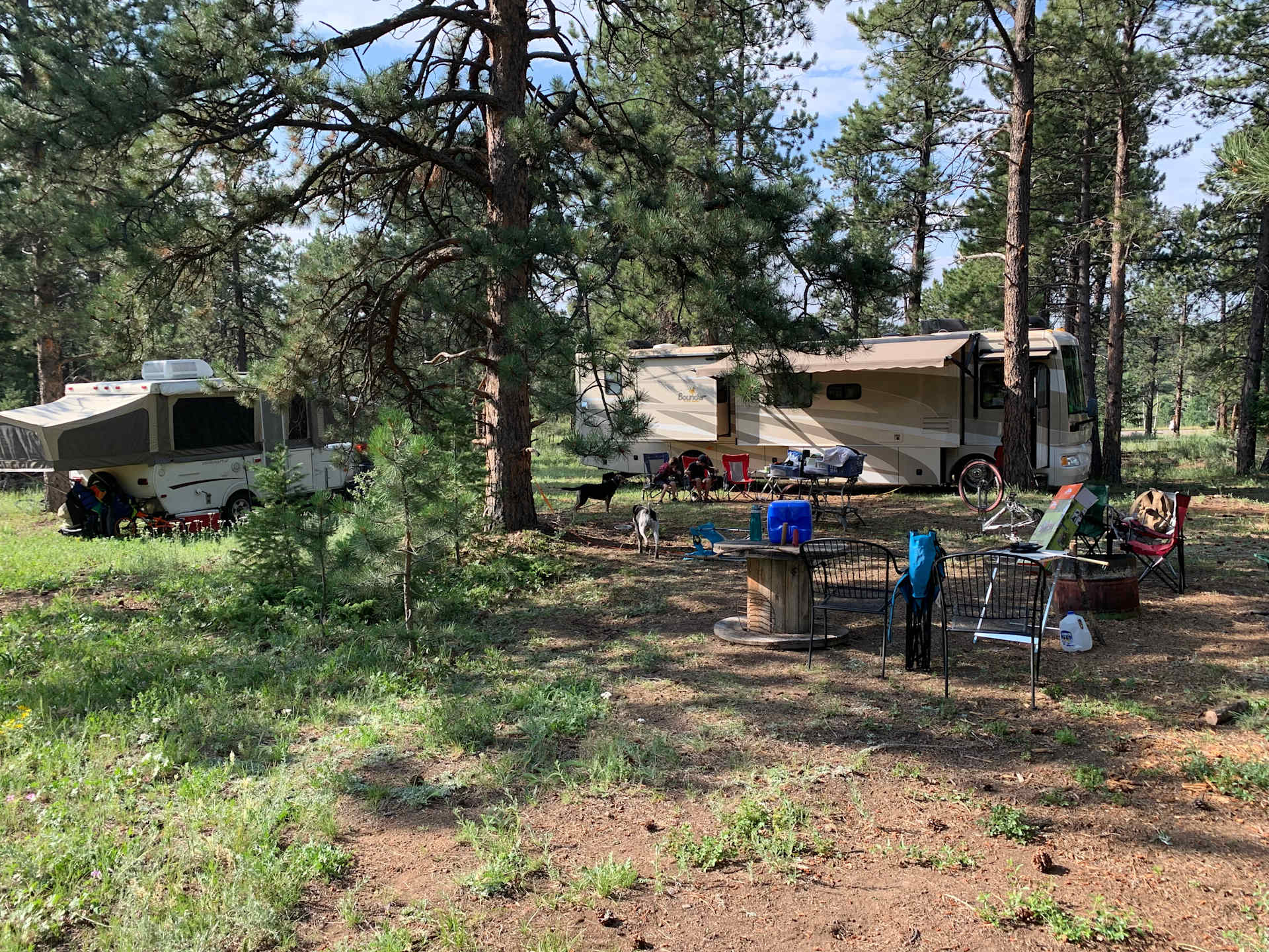 Picture of the site