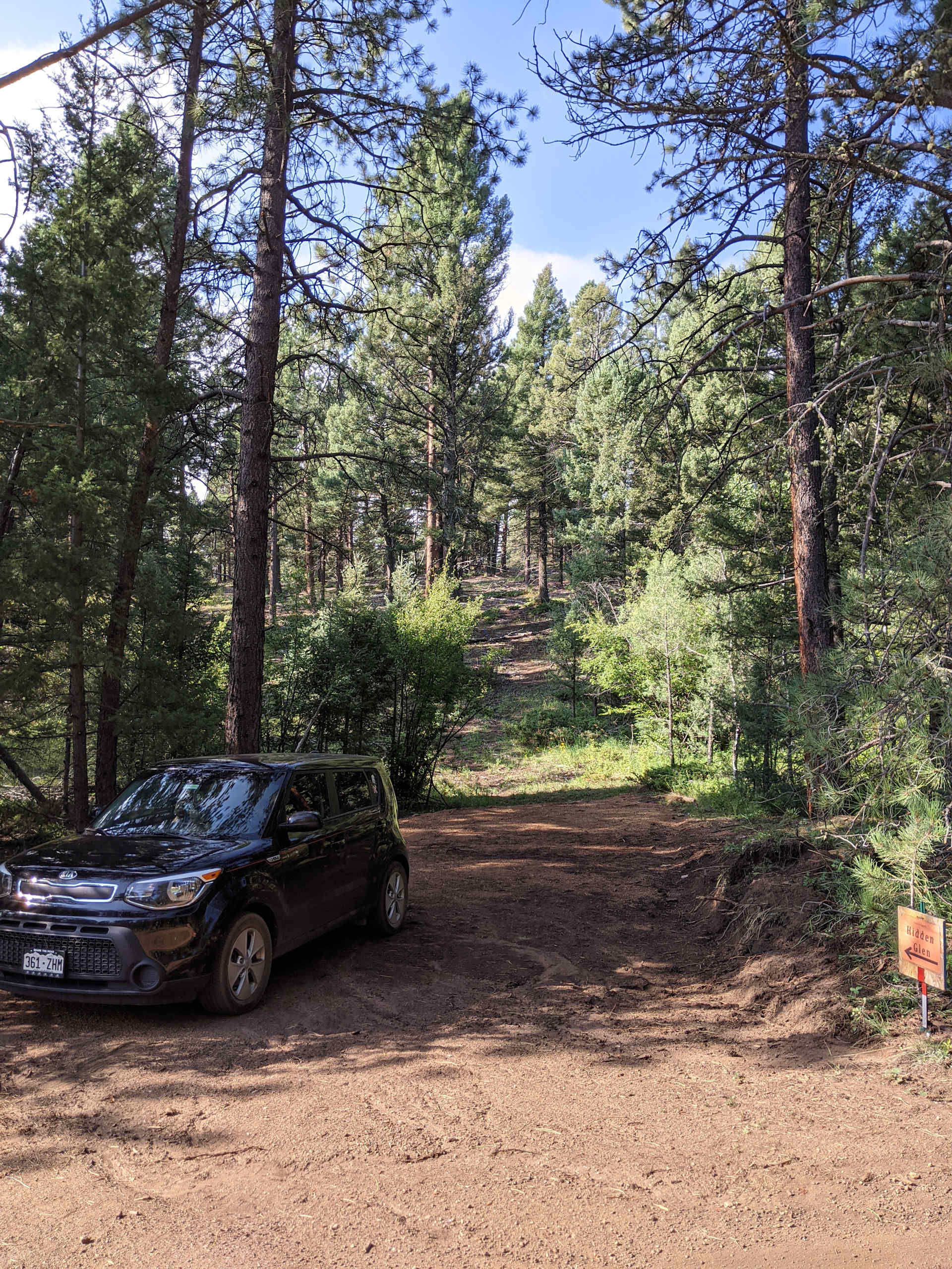 Picture of the site