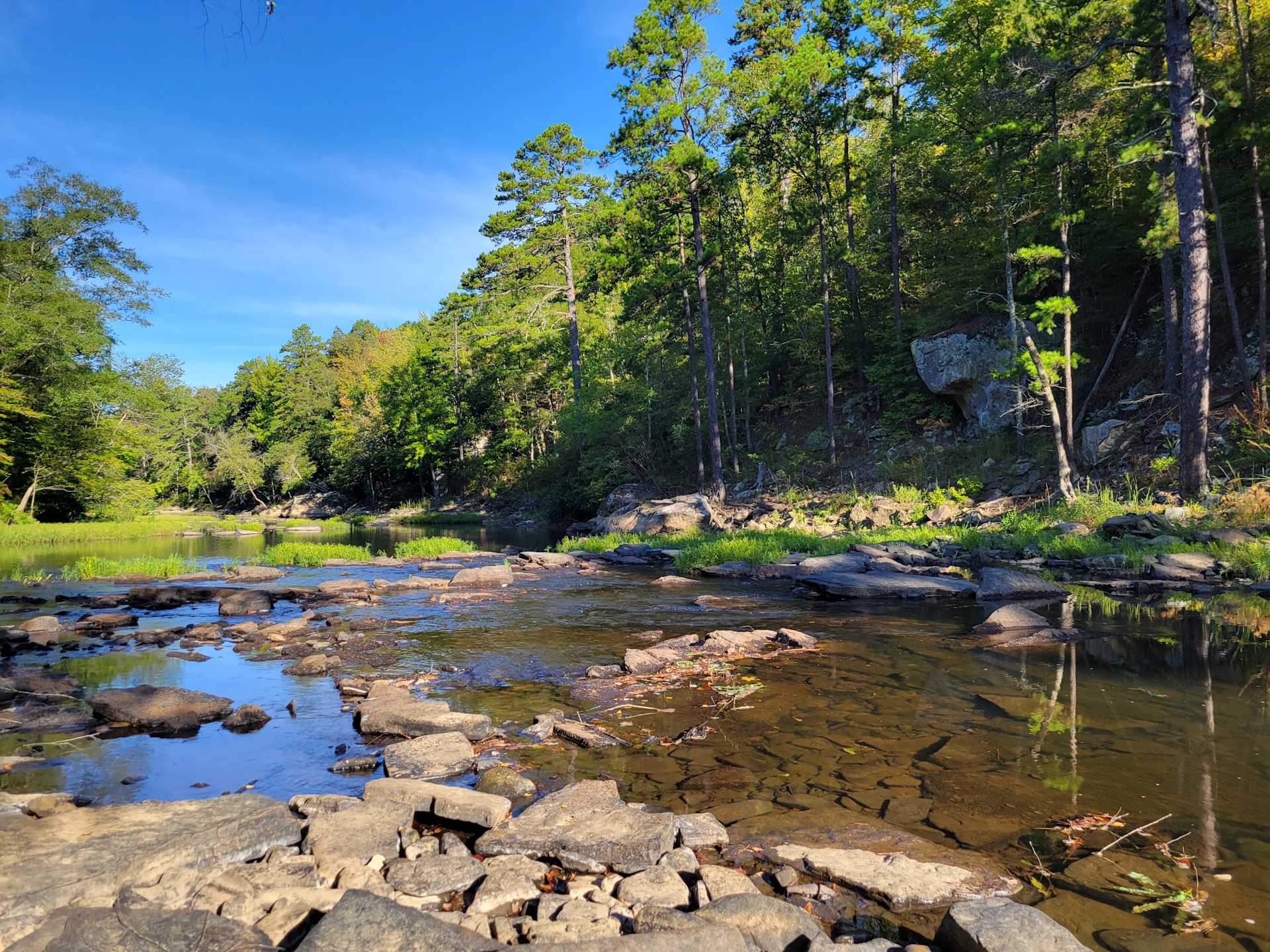 Picture of the site