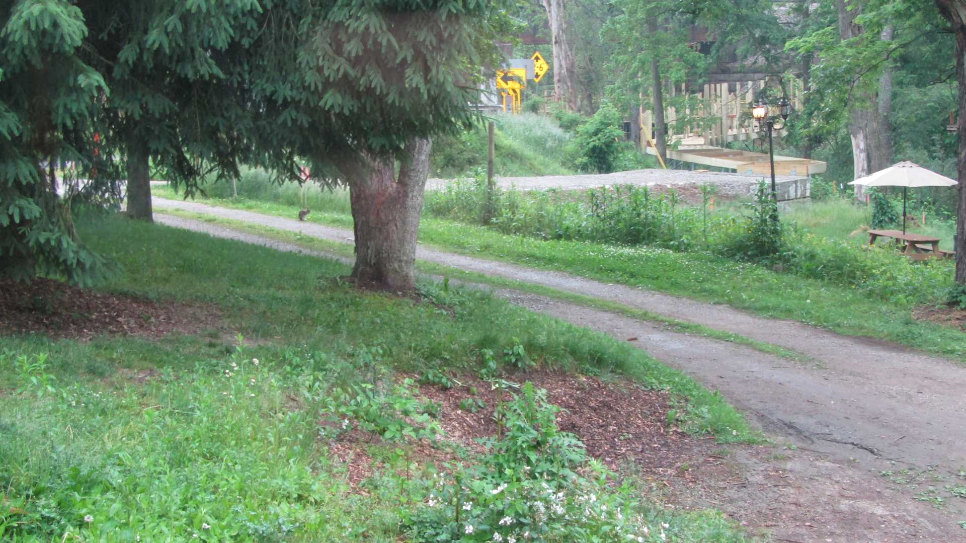 Picture of the site