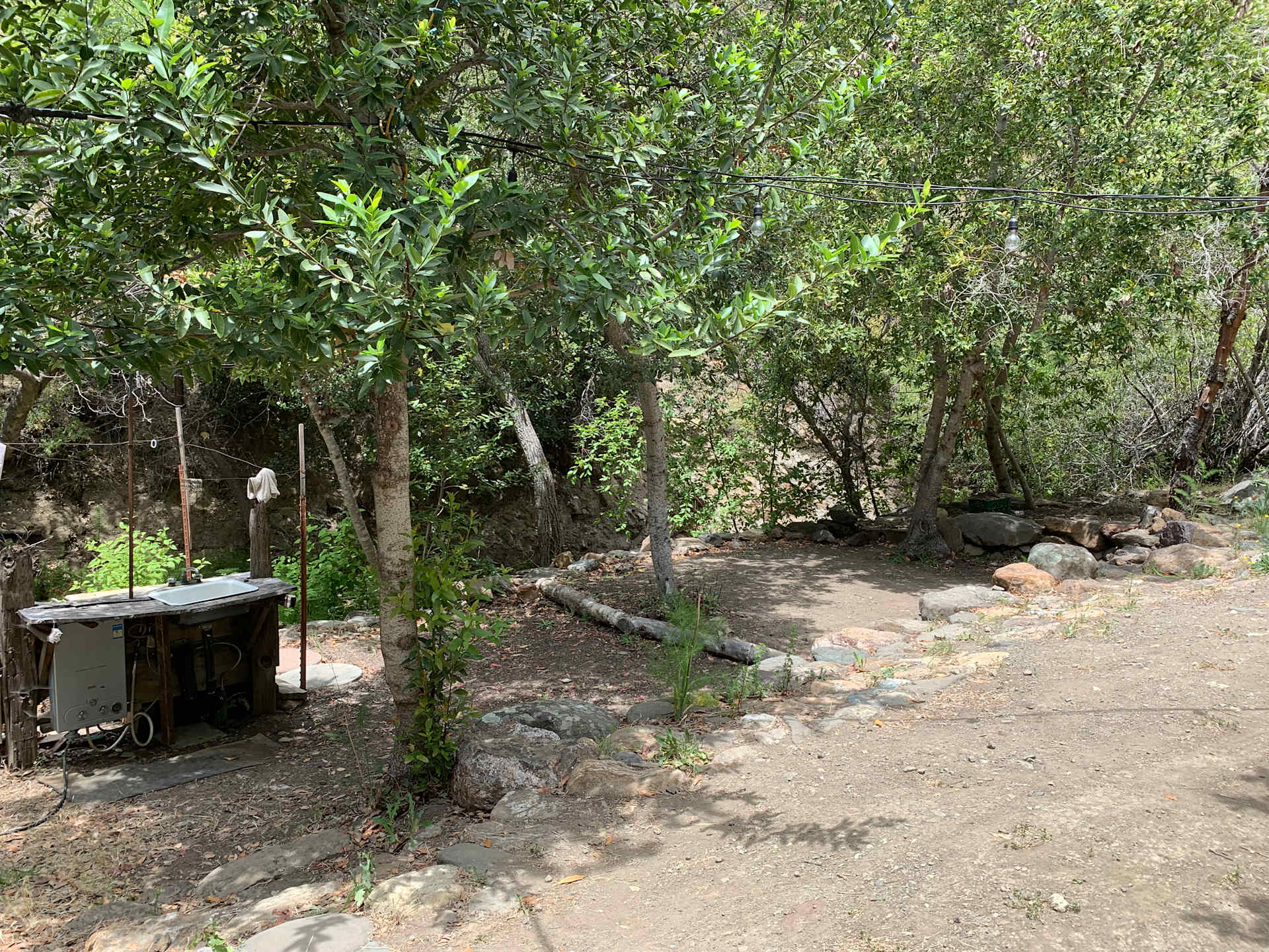 Picture of the site
