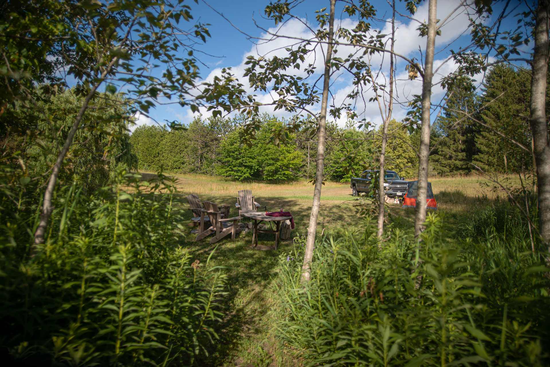 Picture of the site