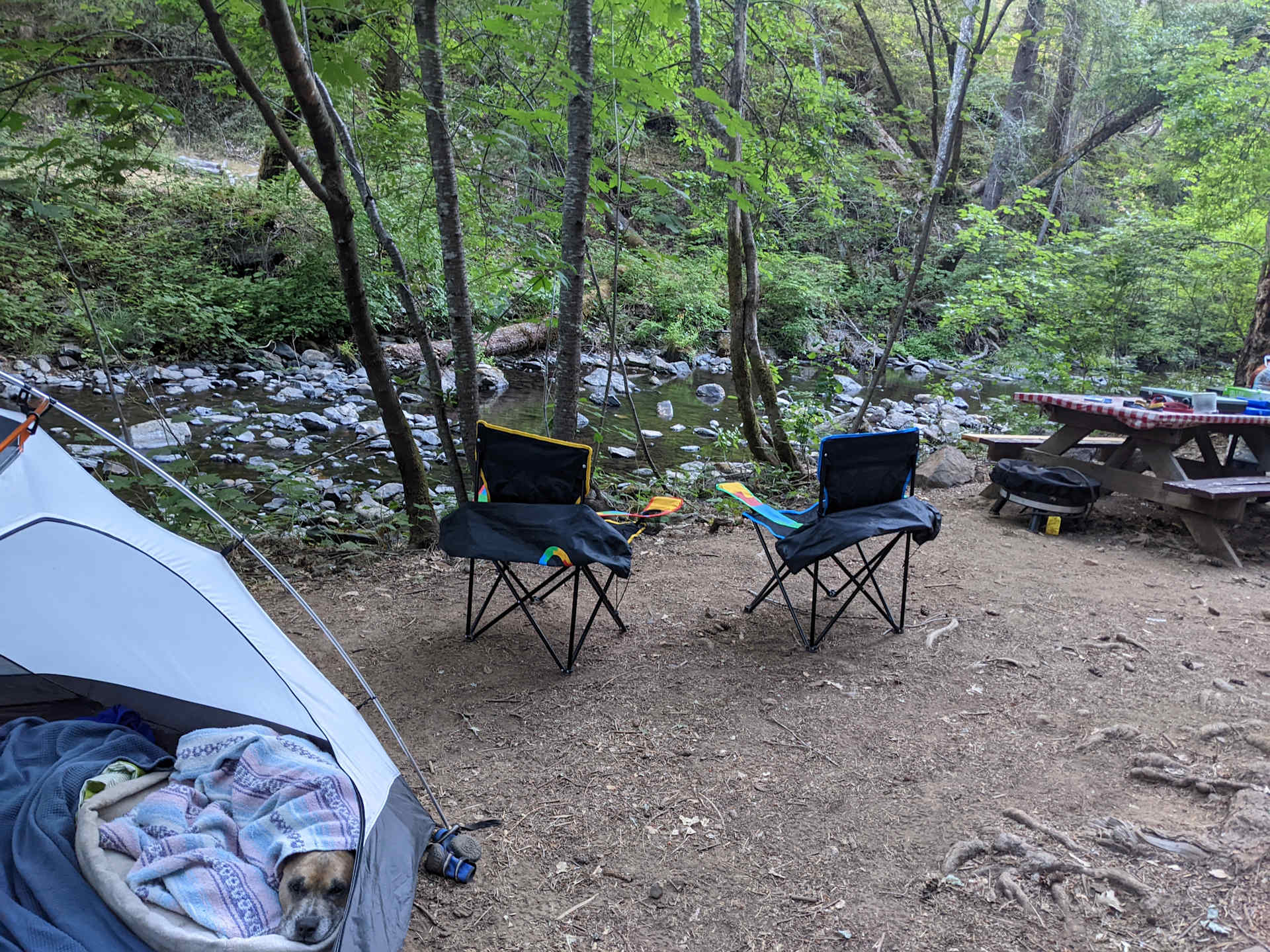 Picture of the site