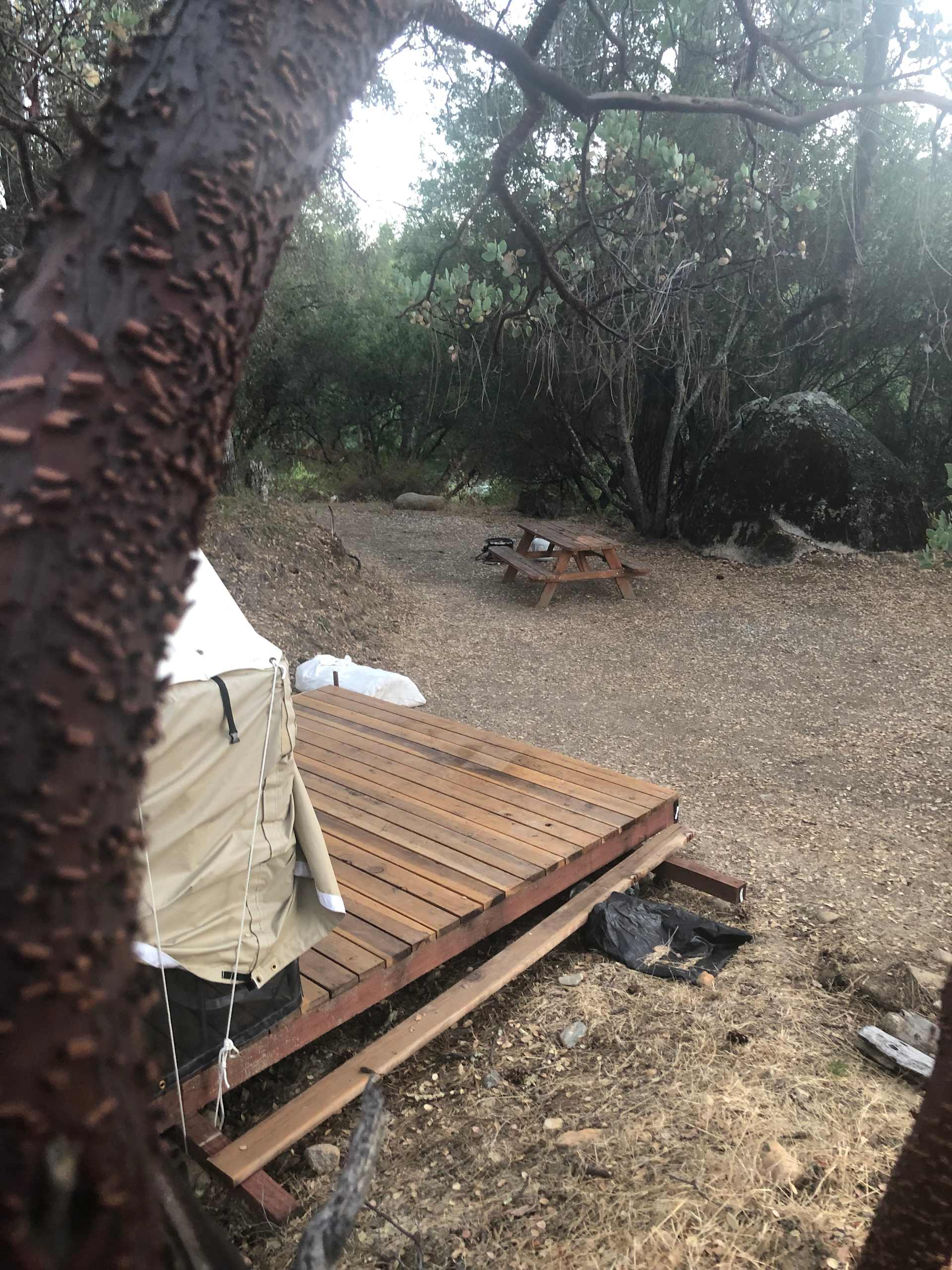 Picture of the site