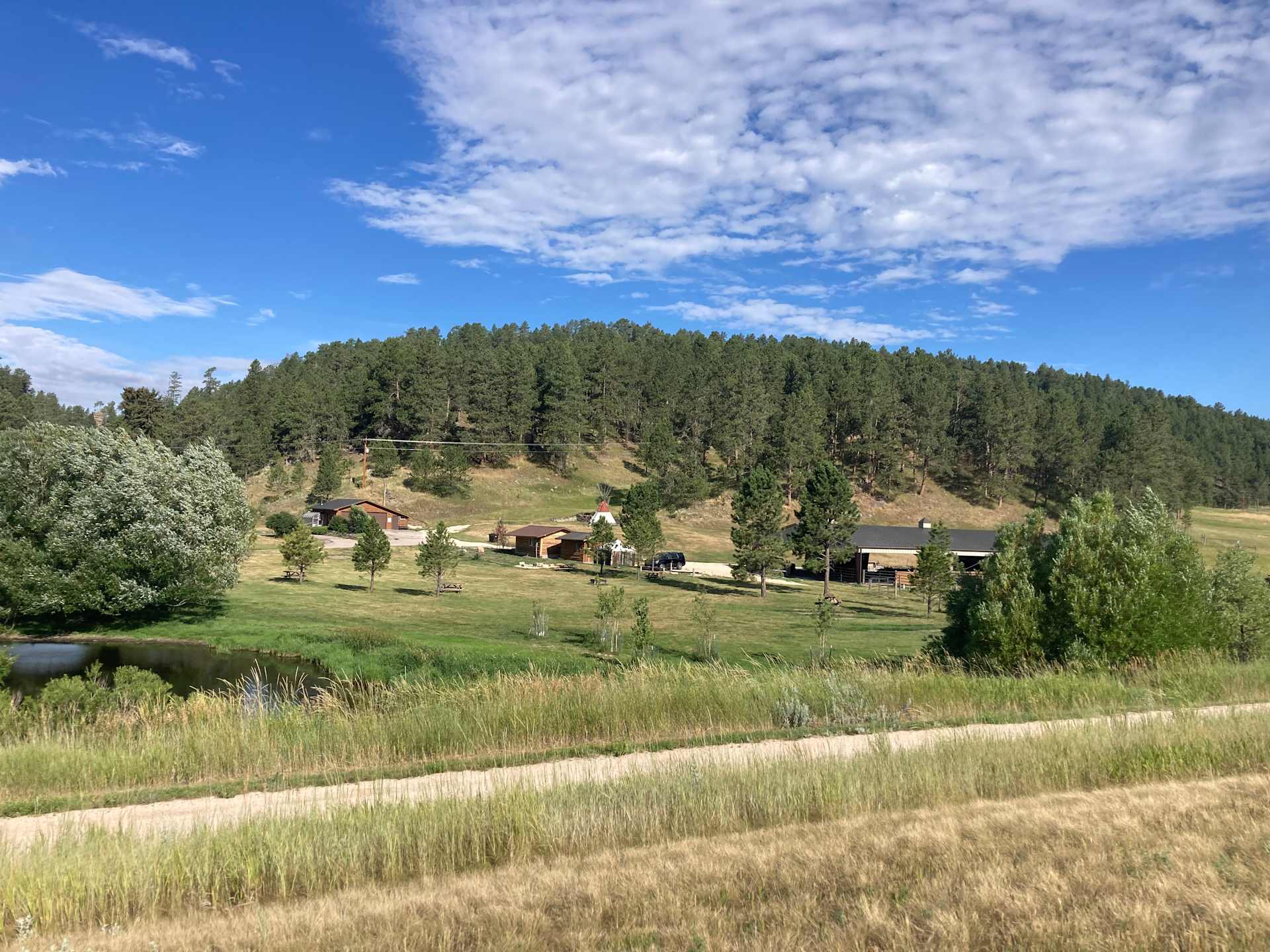 Picture of the site