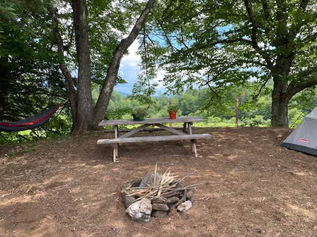 Picture of the site