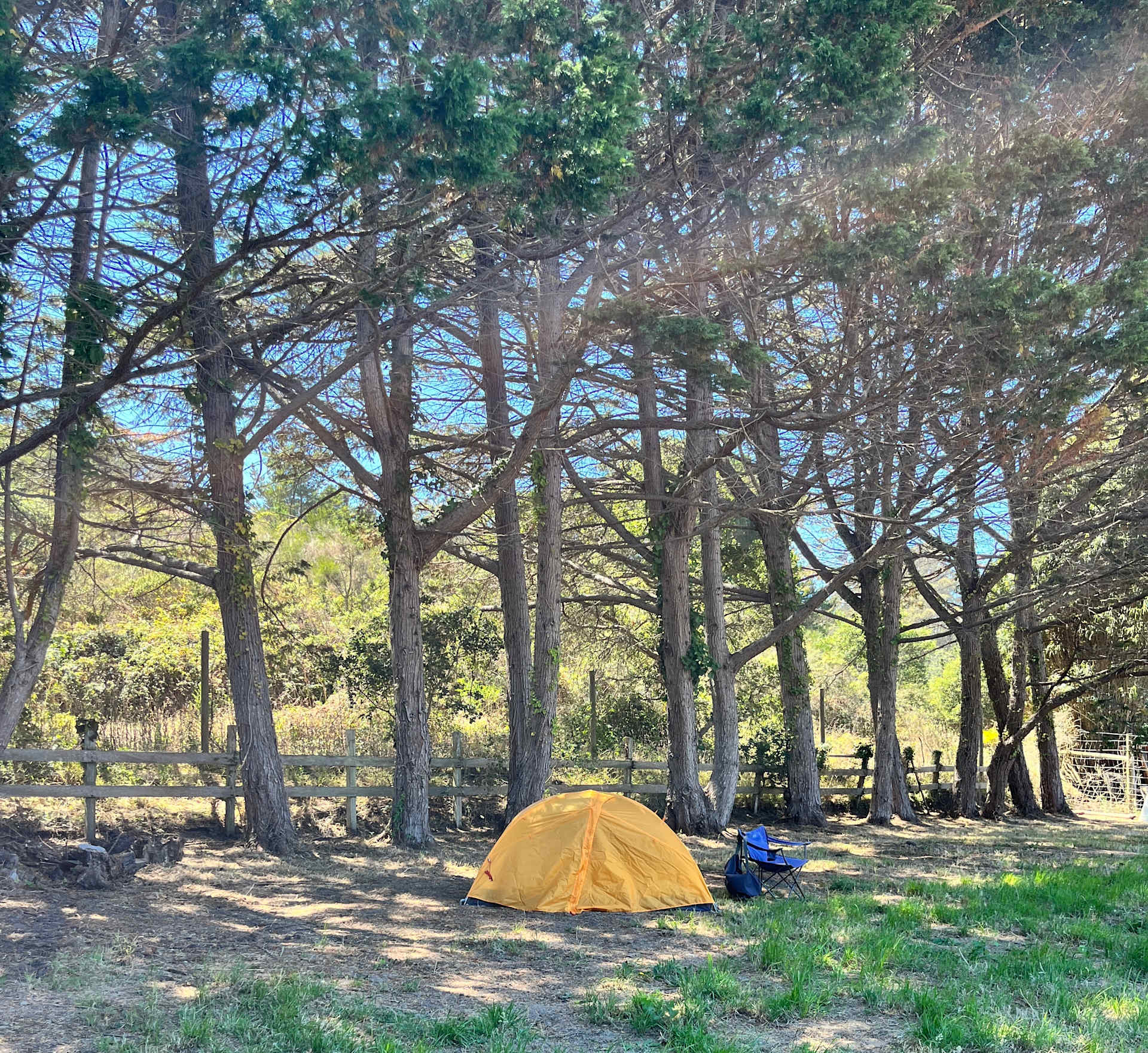 Picture of the site