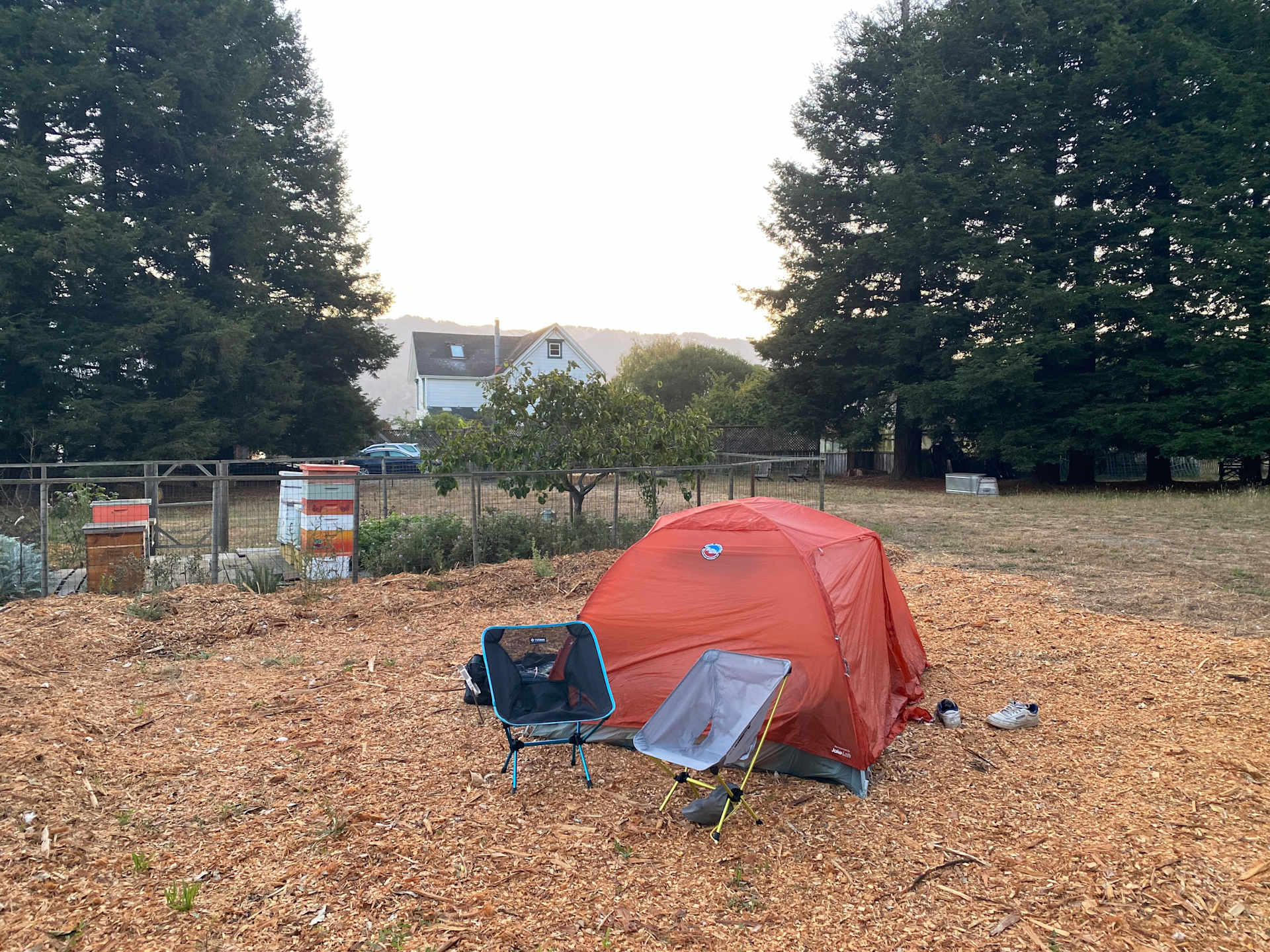 Picture of the site