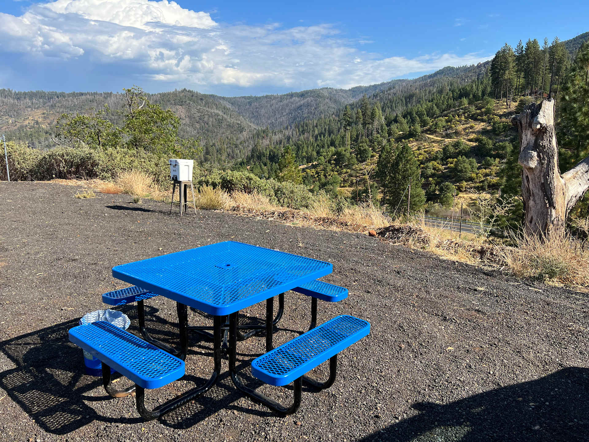 Picture of the site