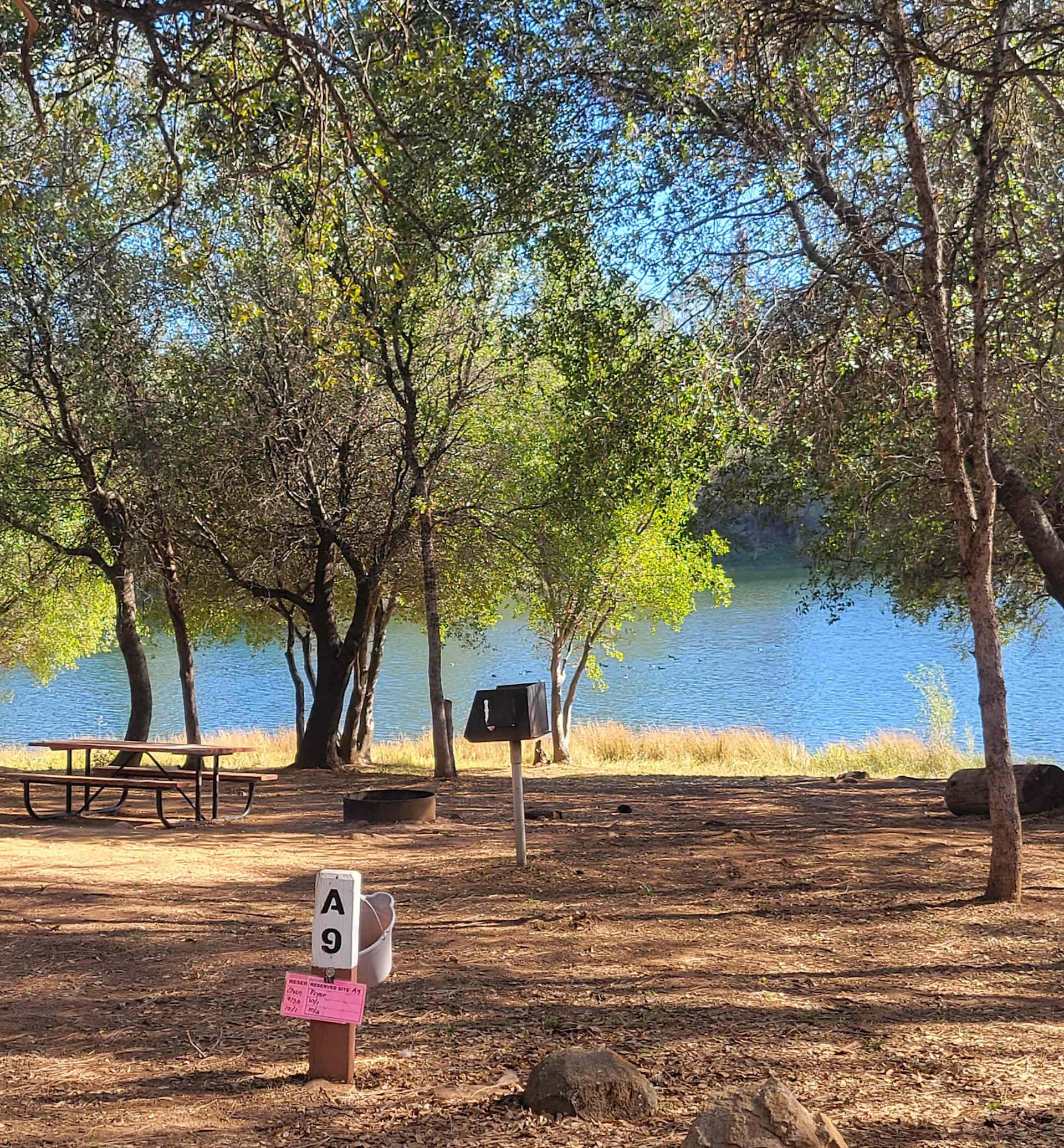 Picture of the site