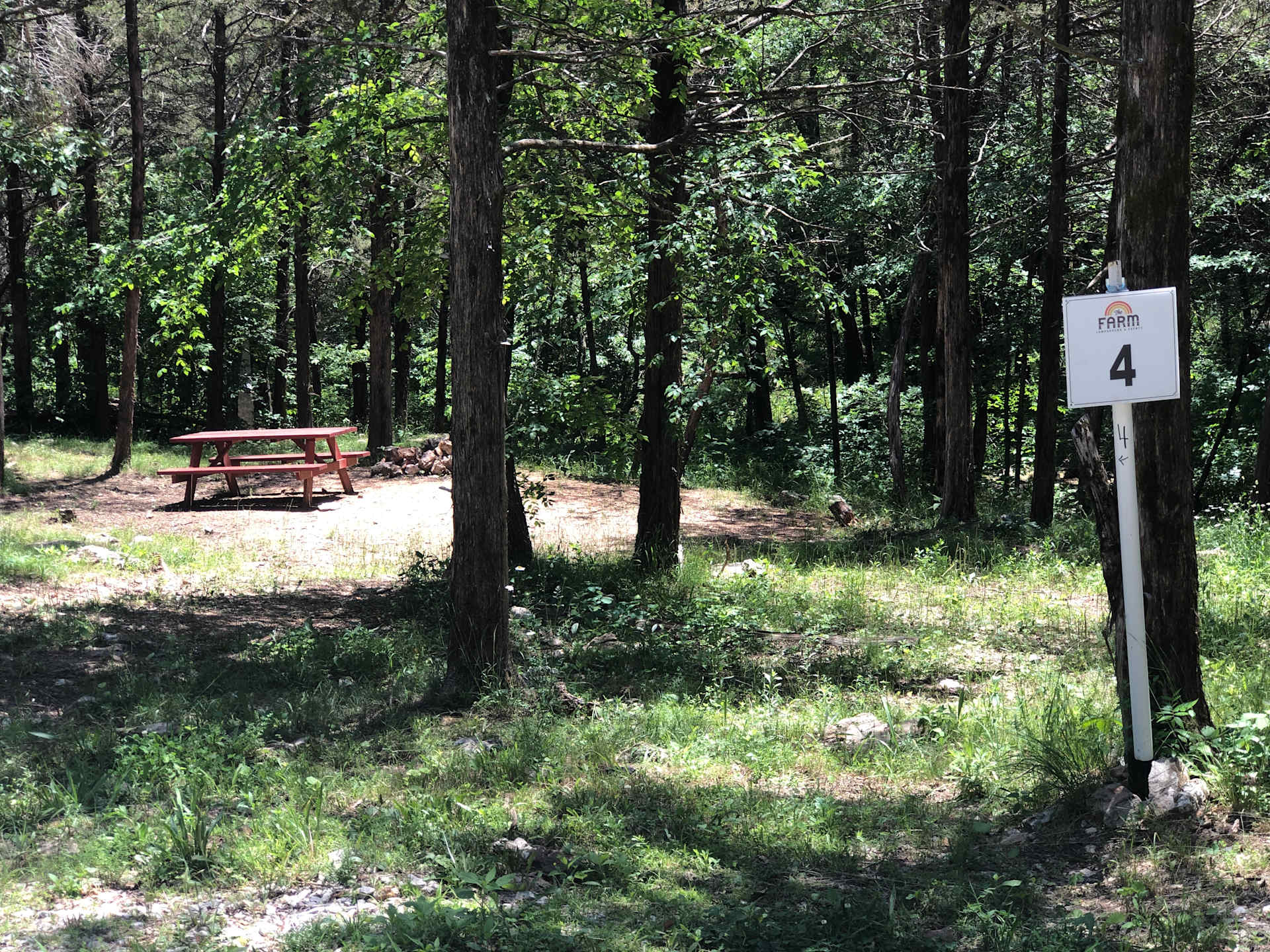 Picture of the site