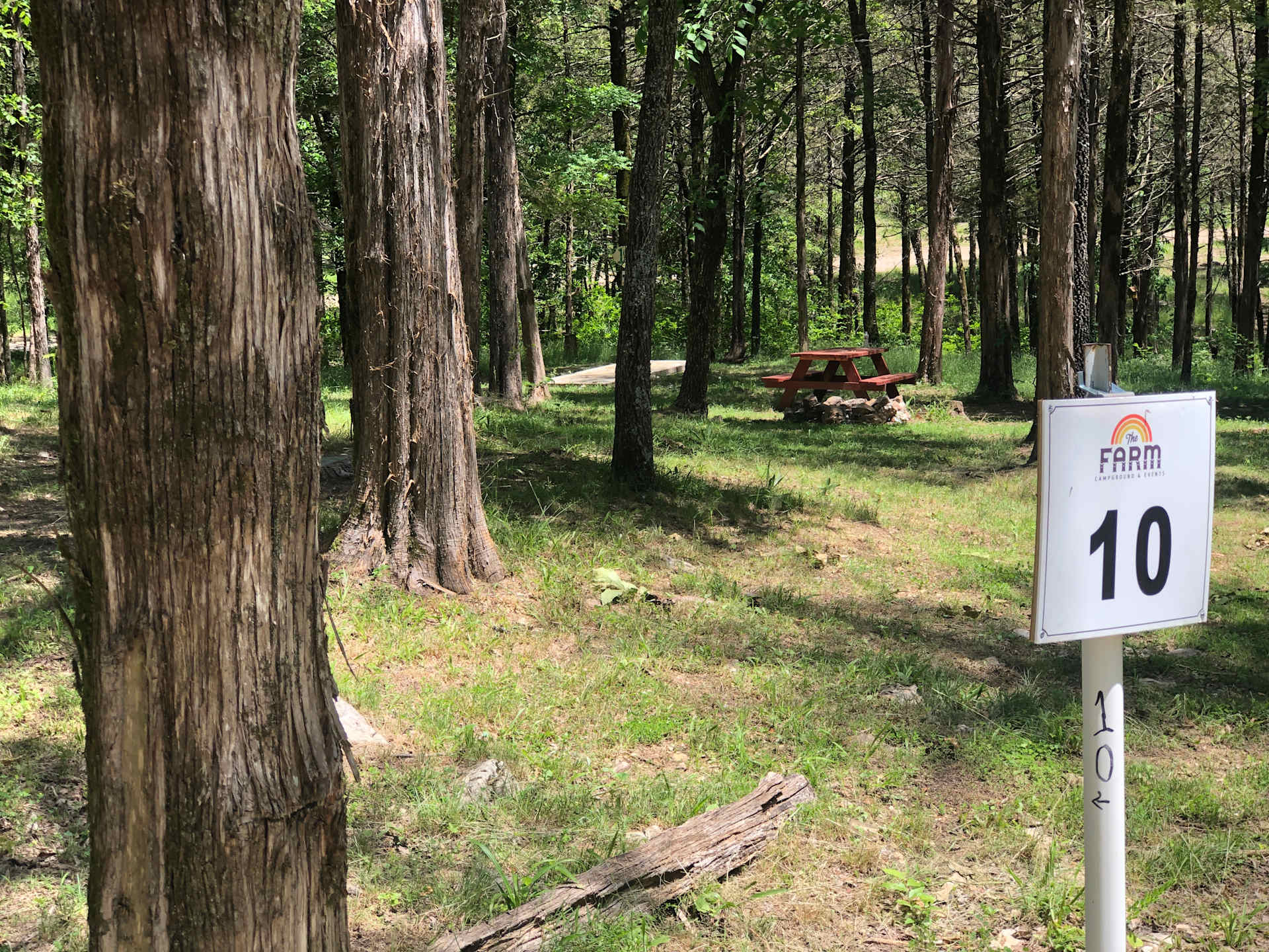 Picture of the site