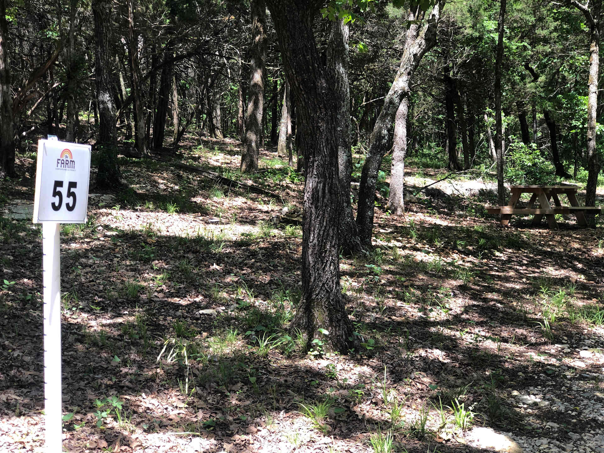 Picture of the site