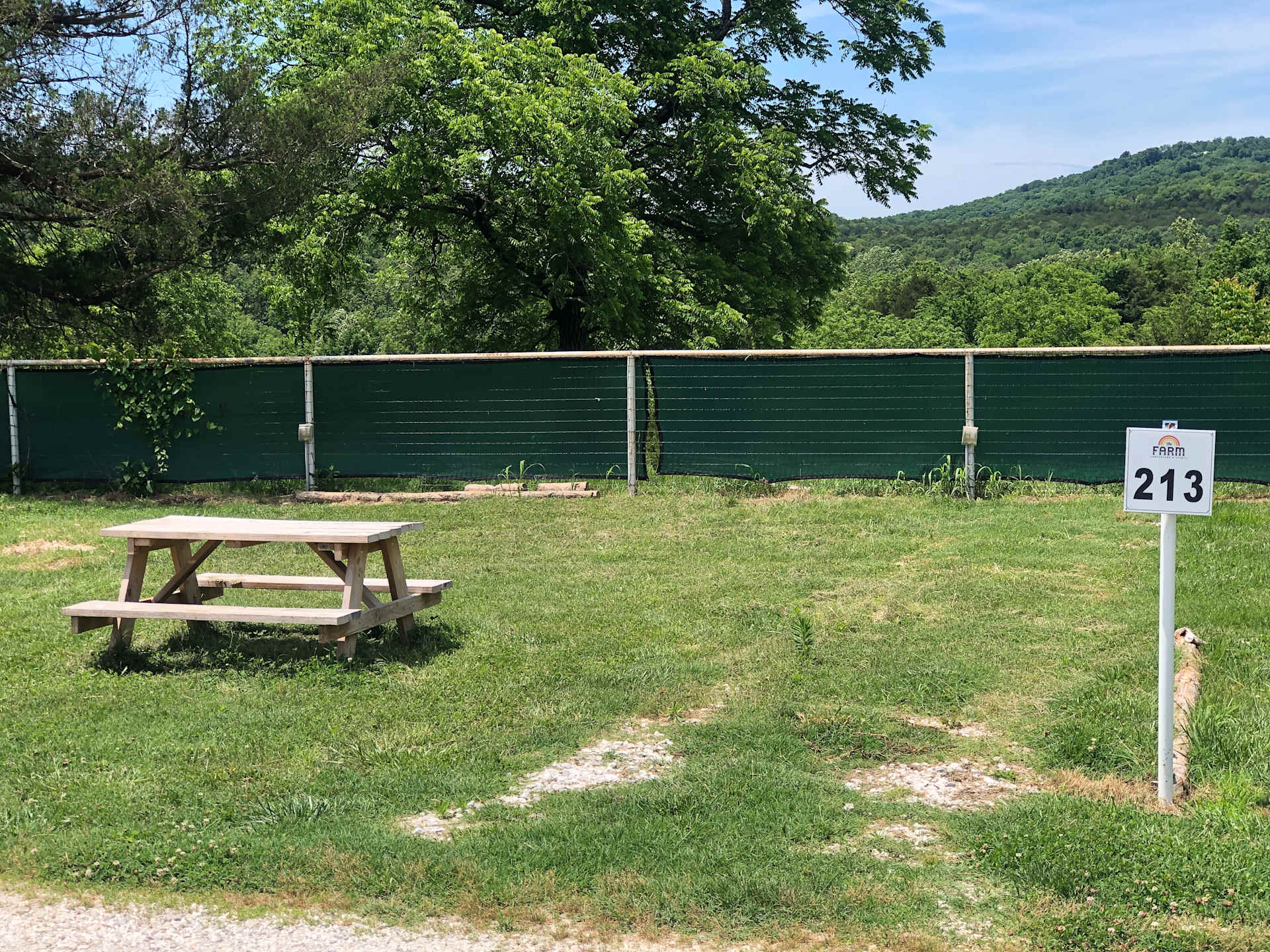 Picture of the site