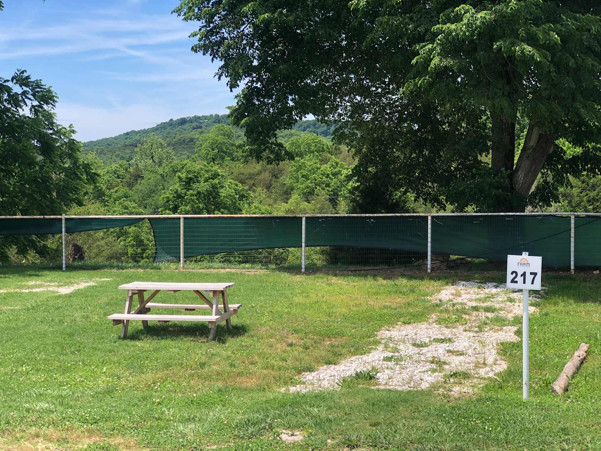 Picture of the site