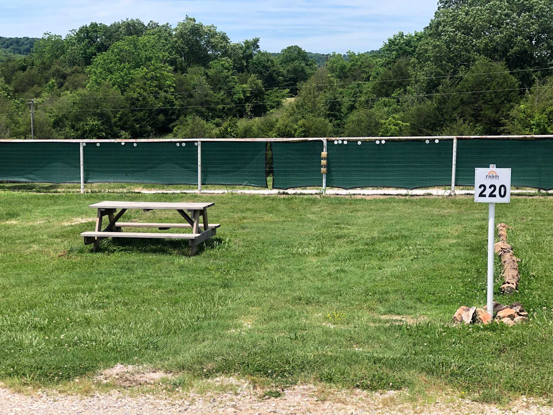 Picture of the site