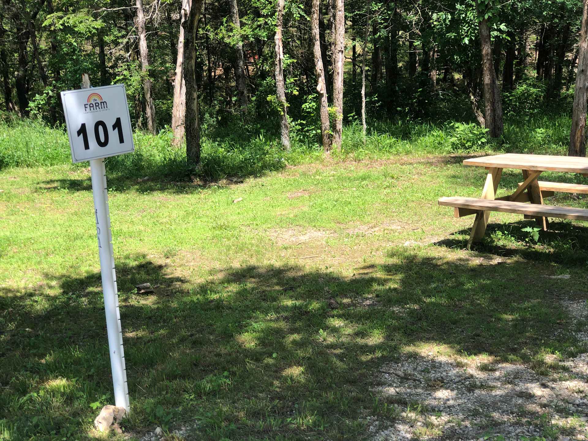 Picture of the site