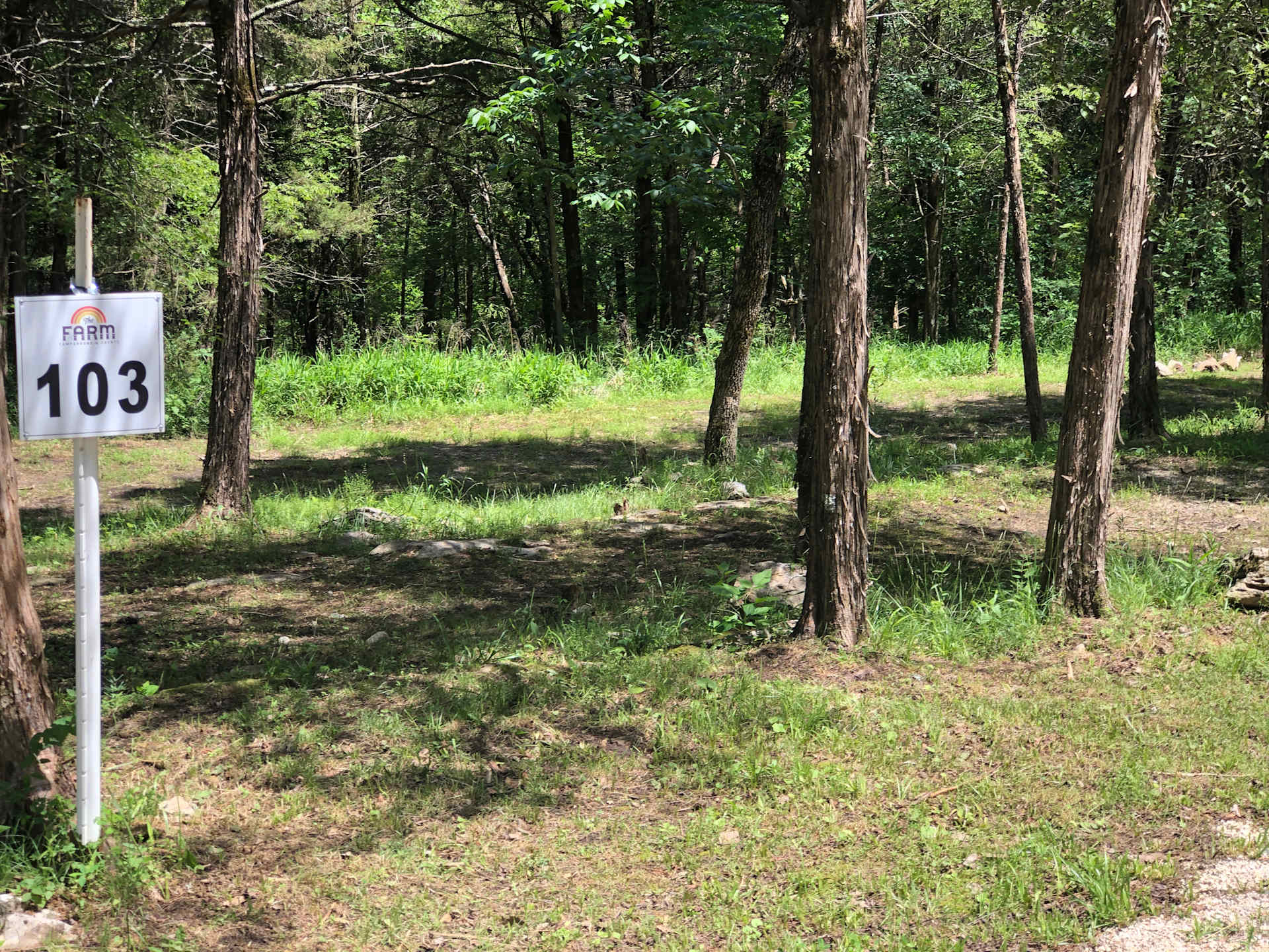 Picture of the site