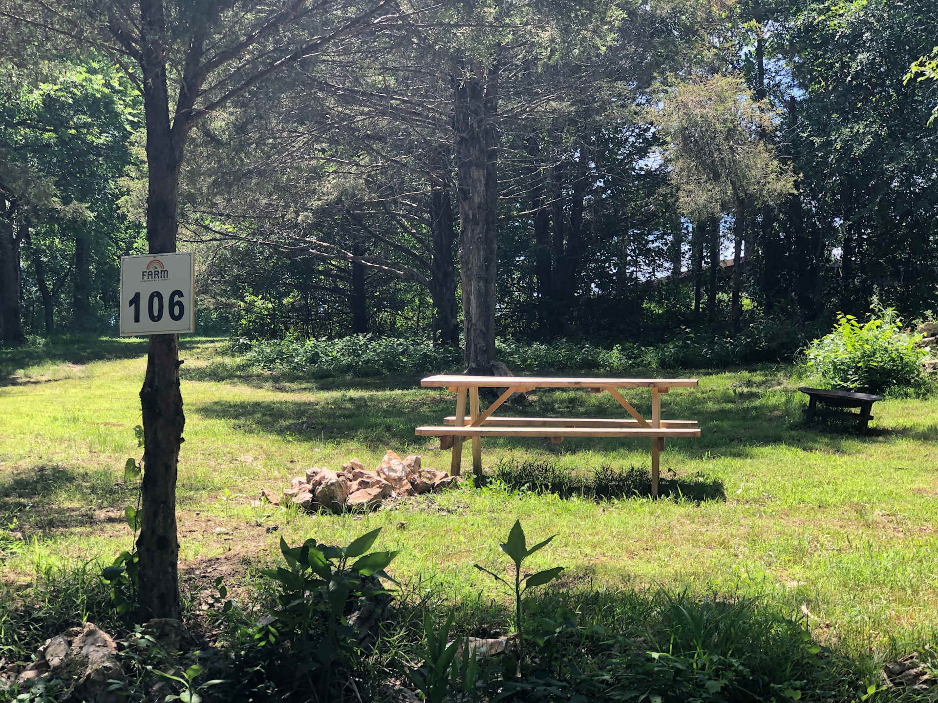 Picture of the site