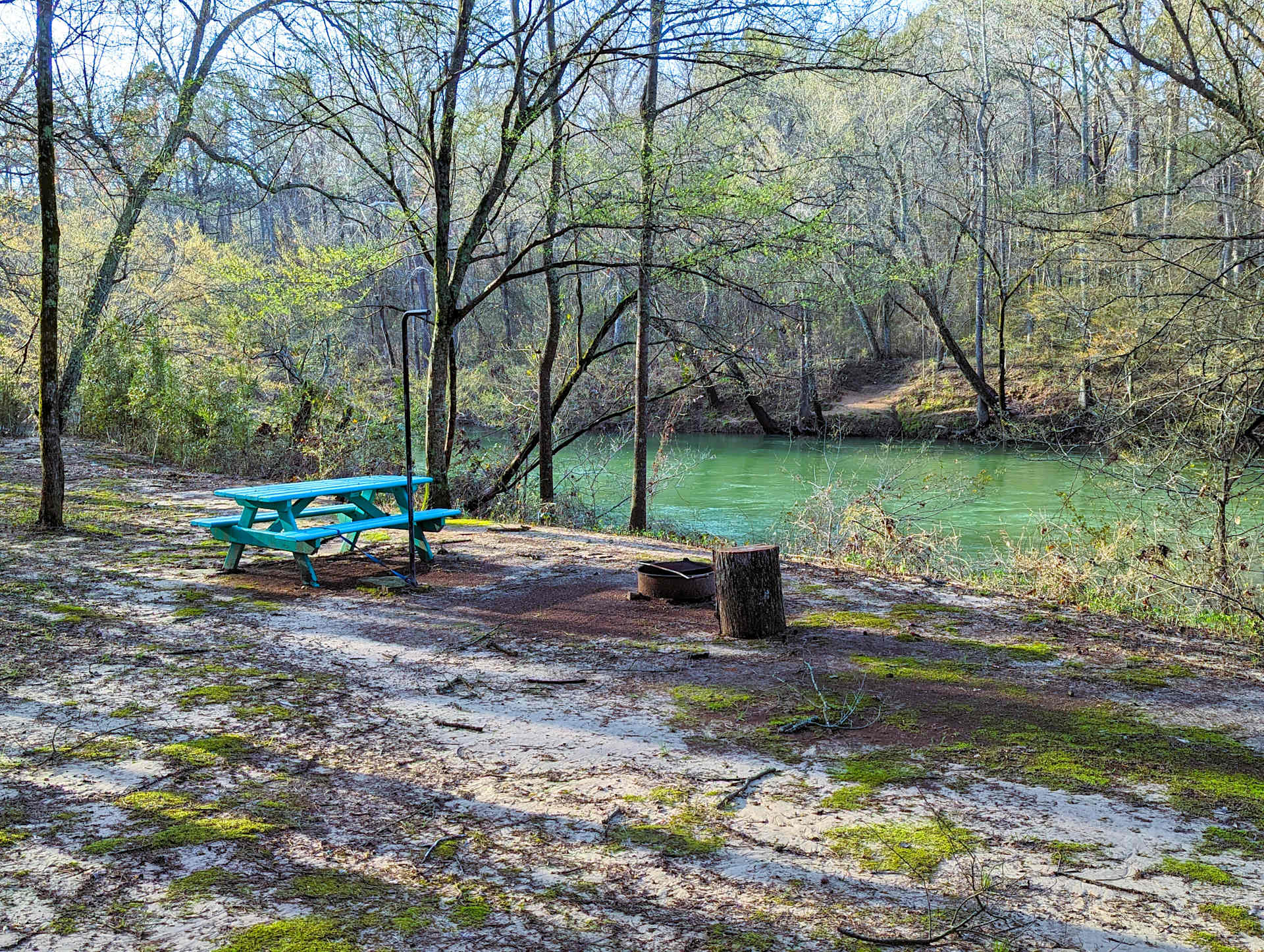 Picture of the site