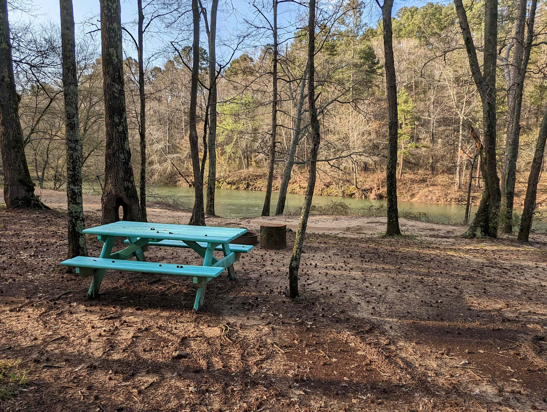 Picture of the site