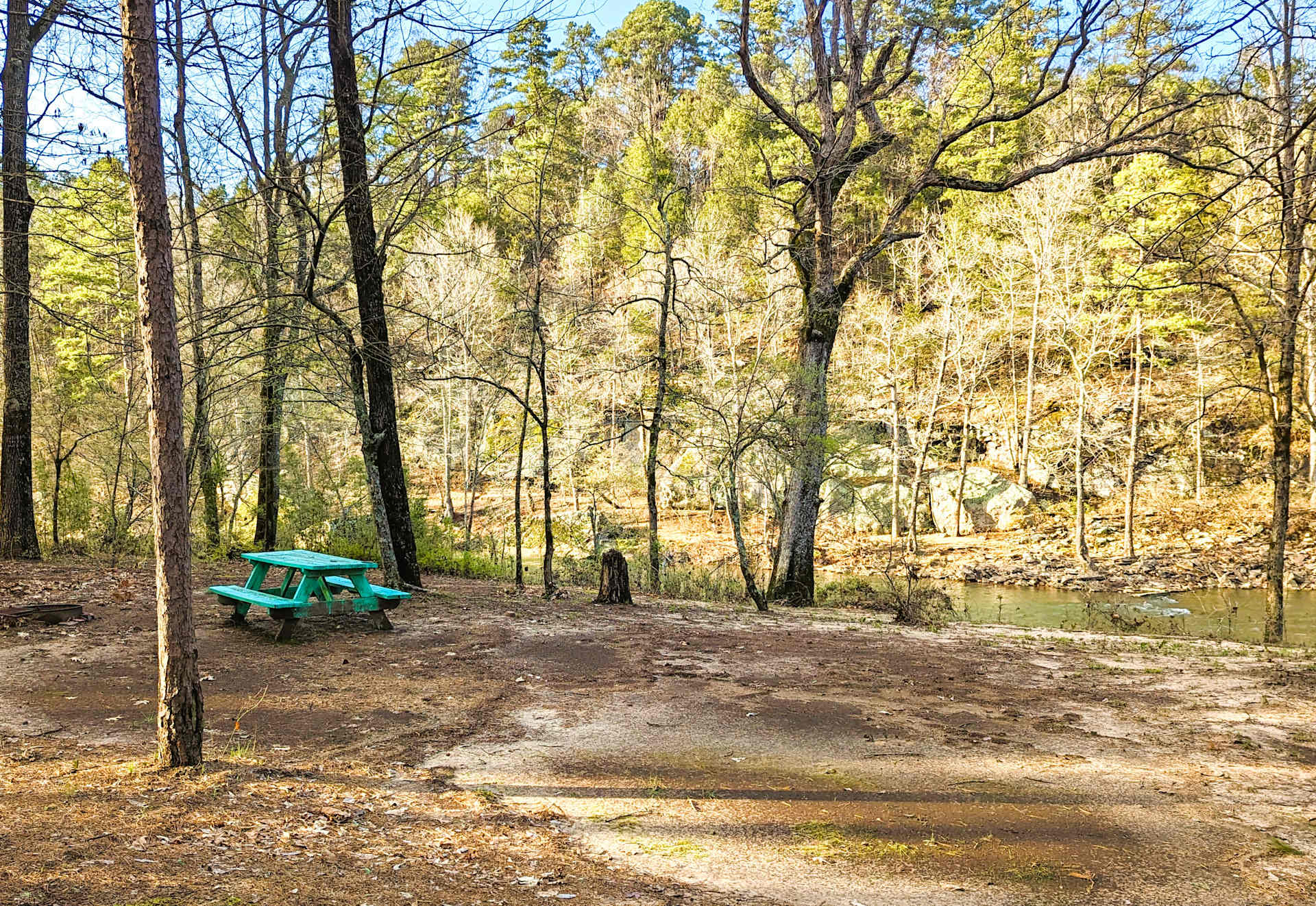 Picture of the site