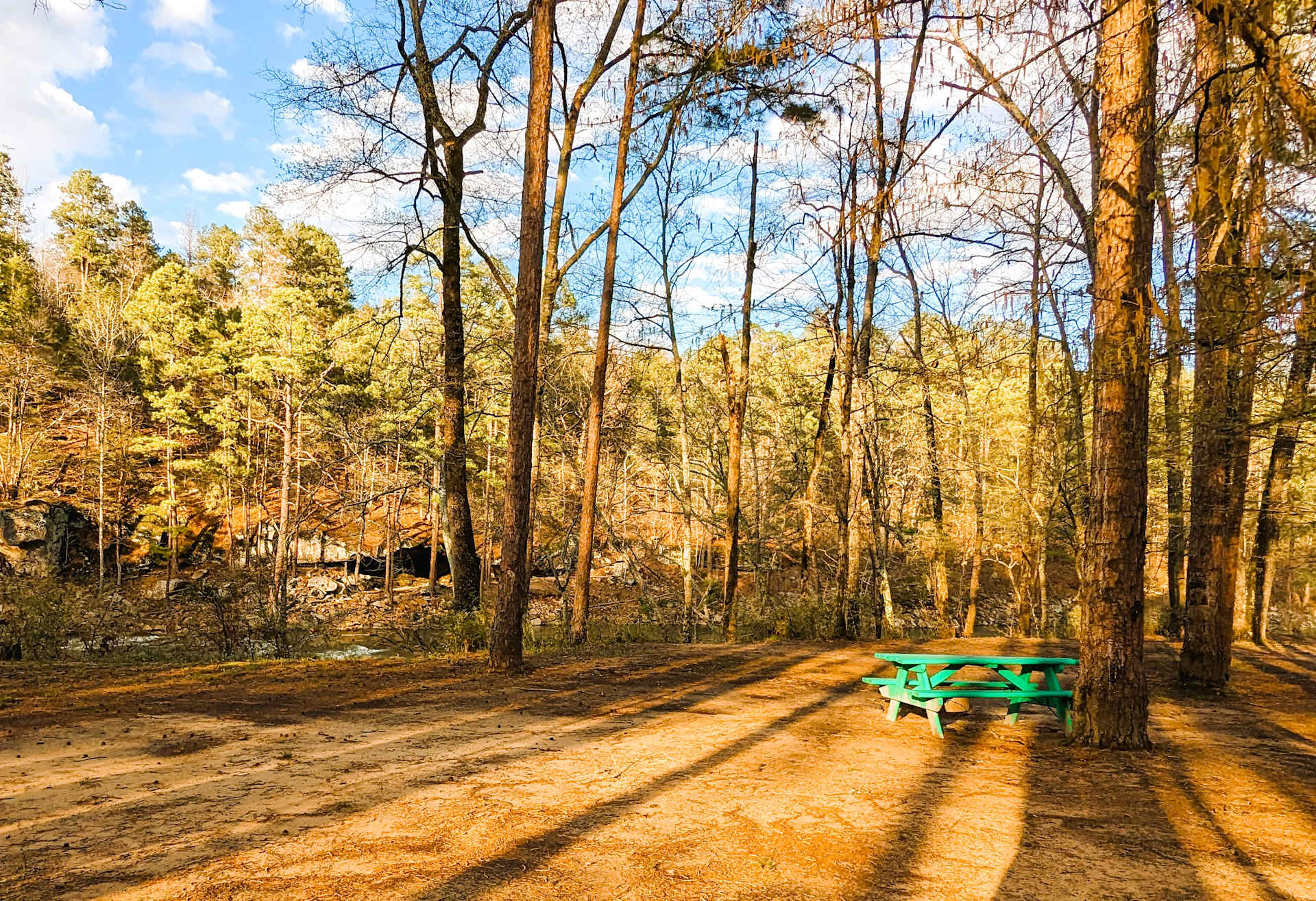 Picture of the site
