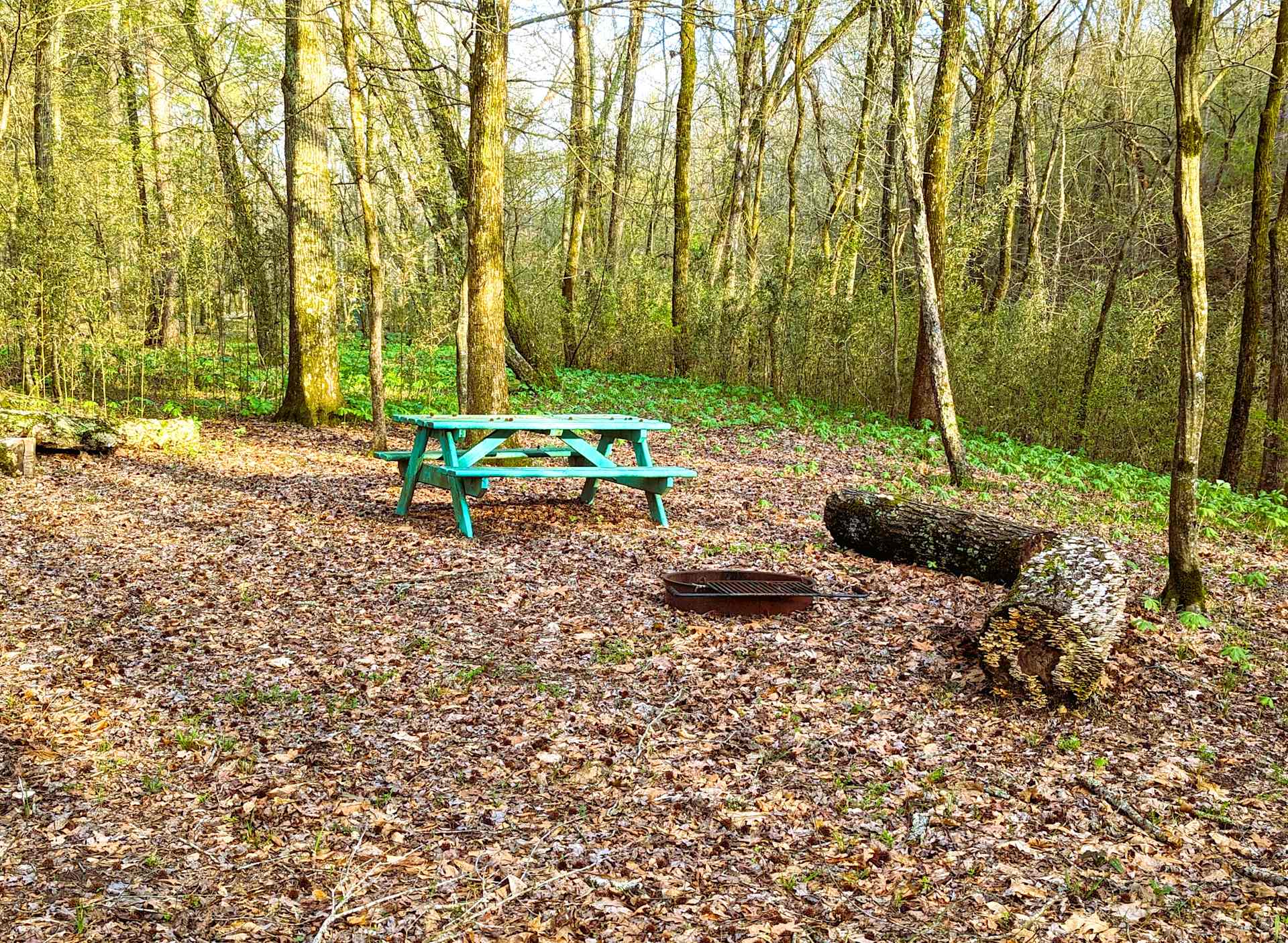 Picture of the site