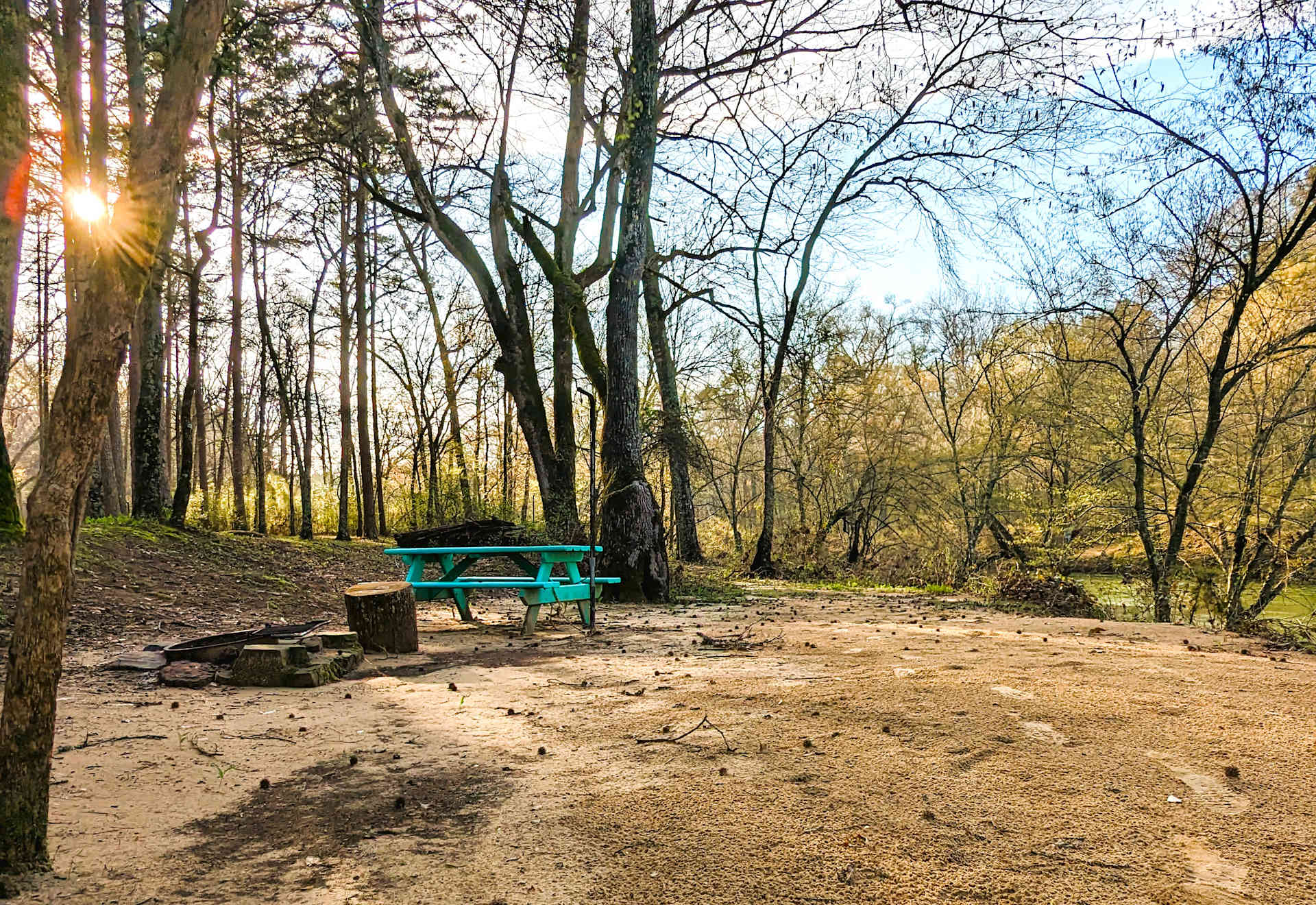 Picture of the site