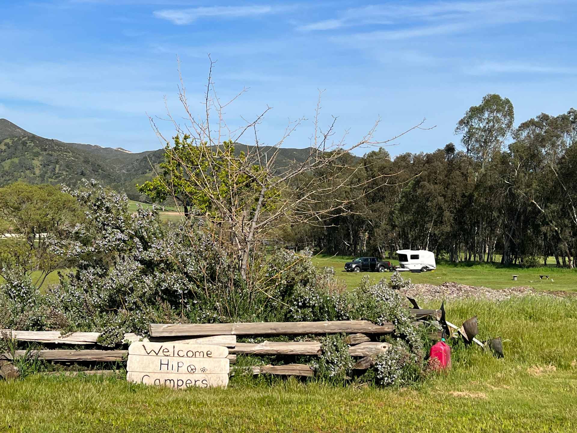 Picture of the site