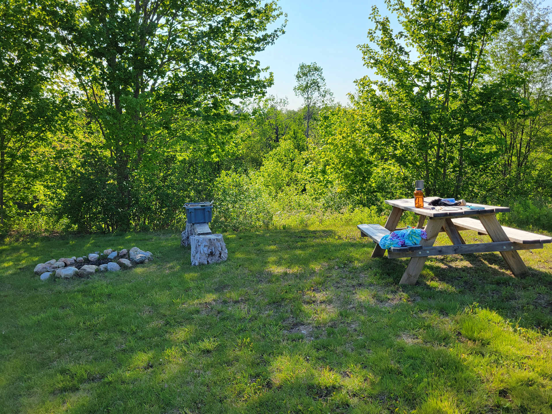 Picture of the site