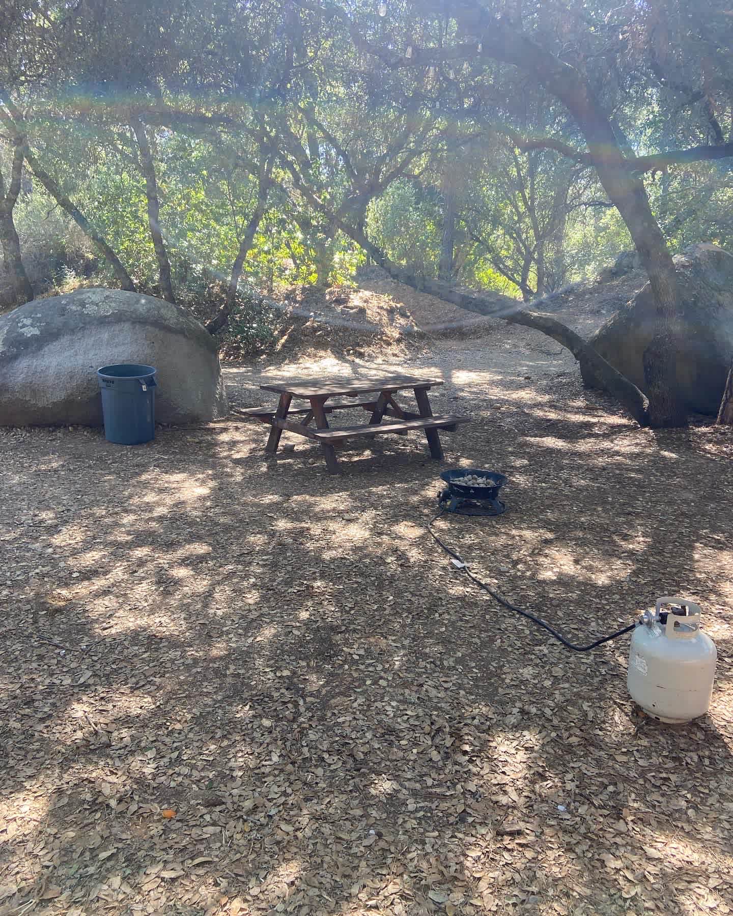 Picture of the site