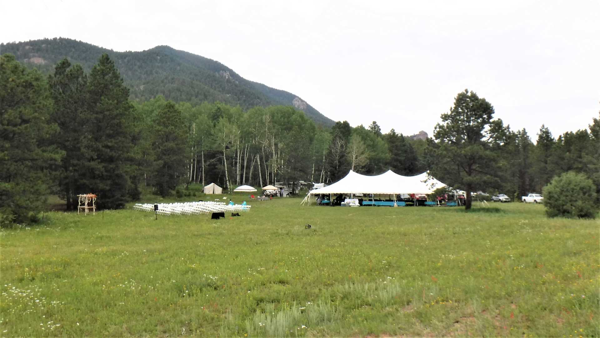 Picture of the site