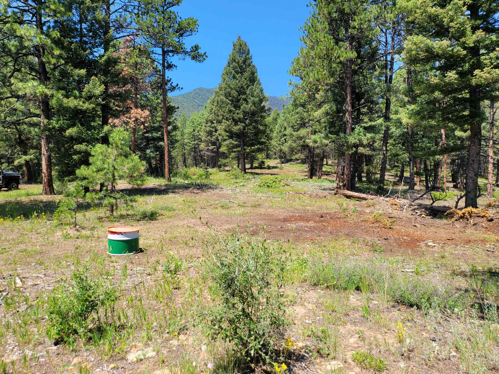 Picture of the site