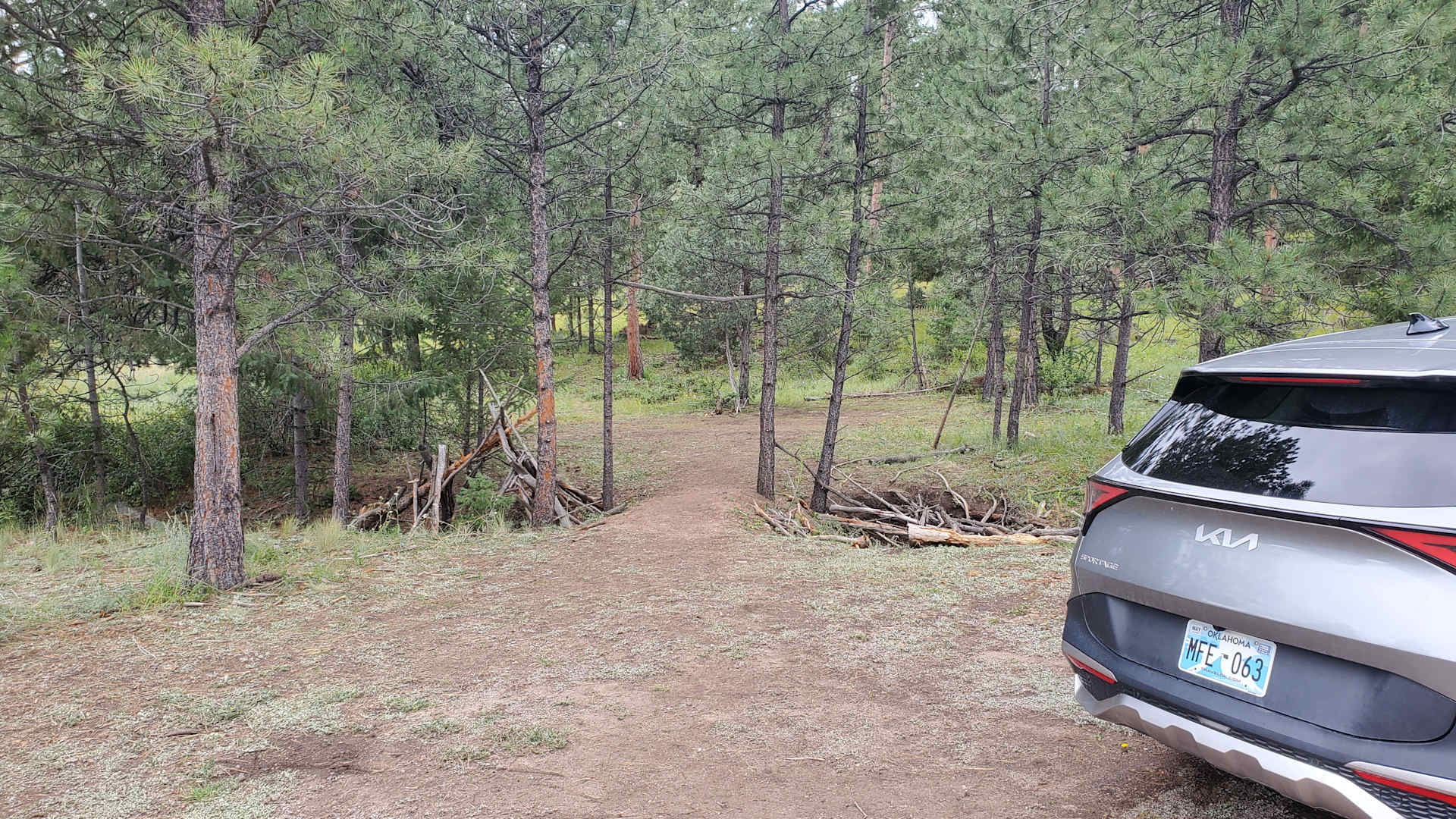 Picture of the site