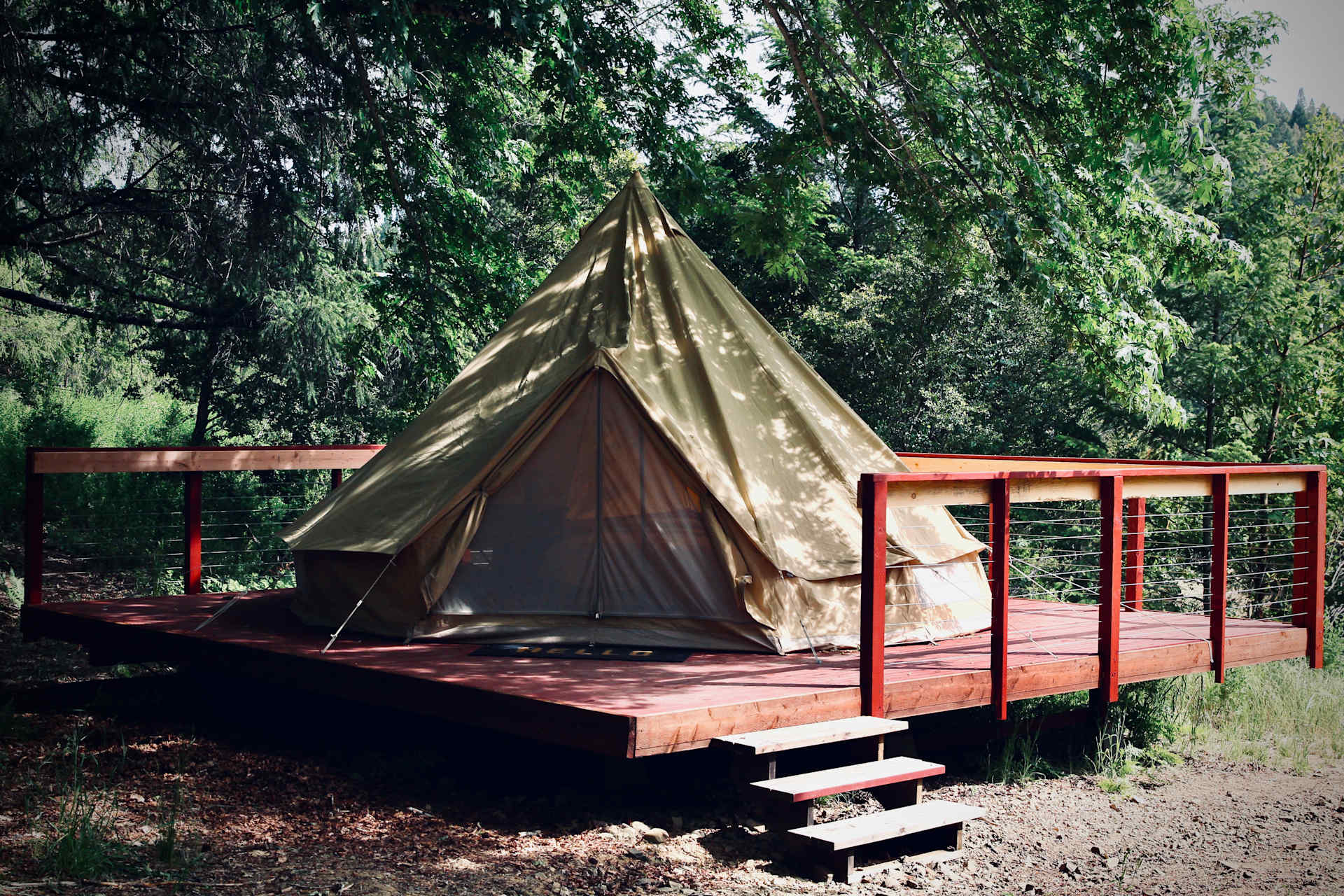 Picture of the site
