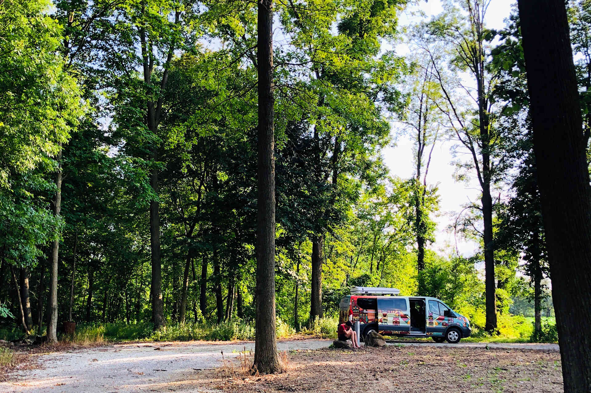 Picture of the site