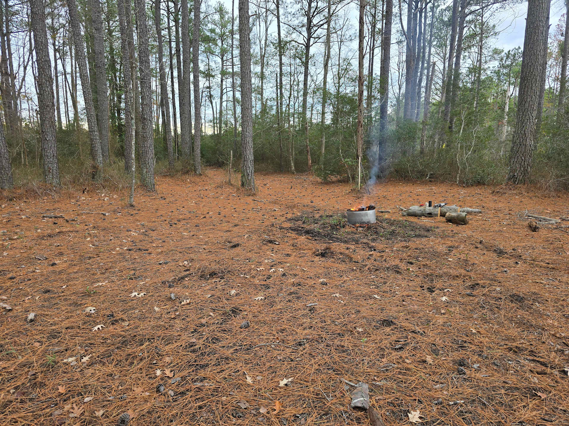 Picture of the site