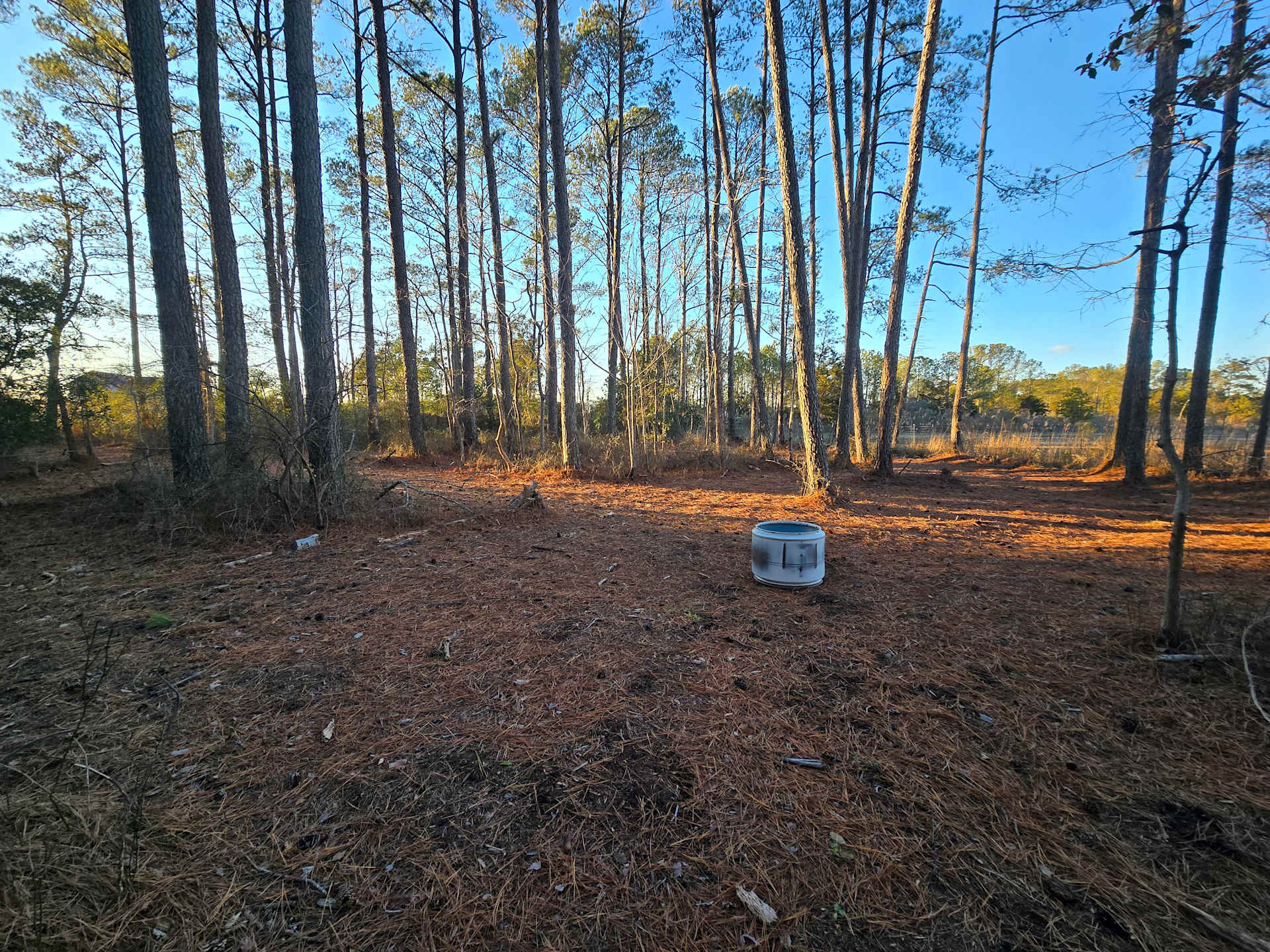 Picture of the site