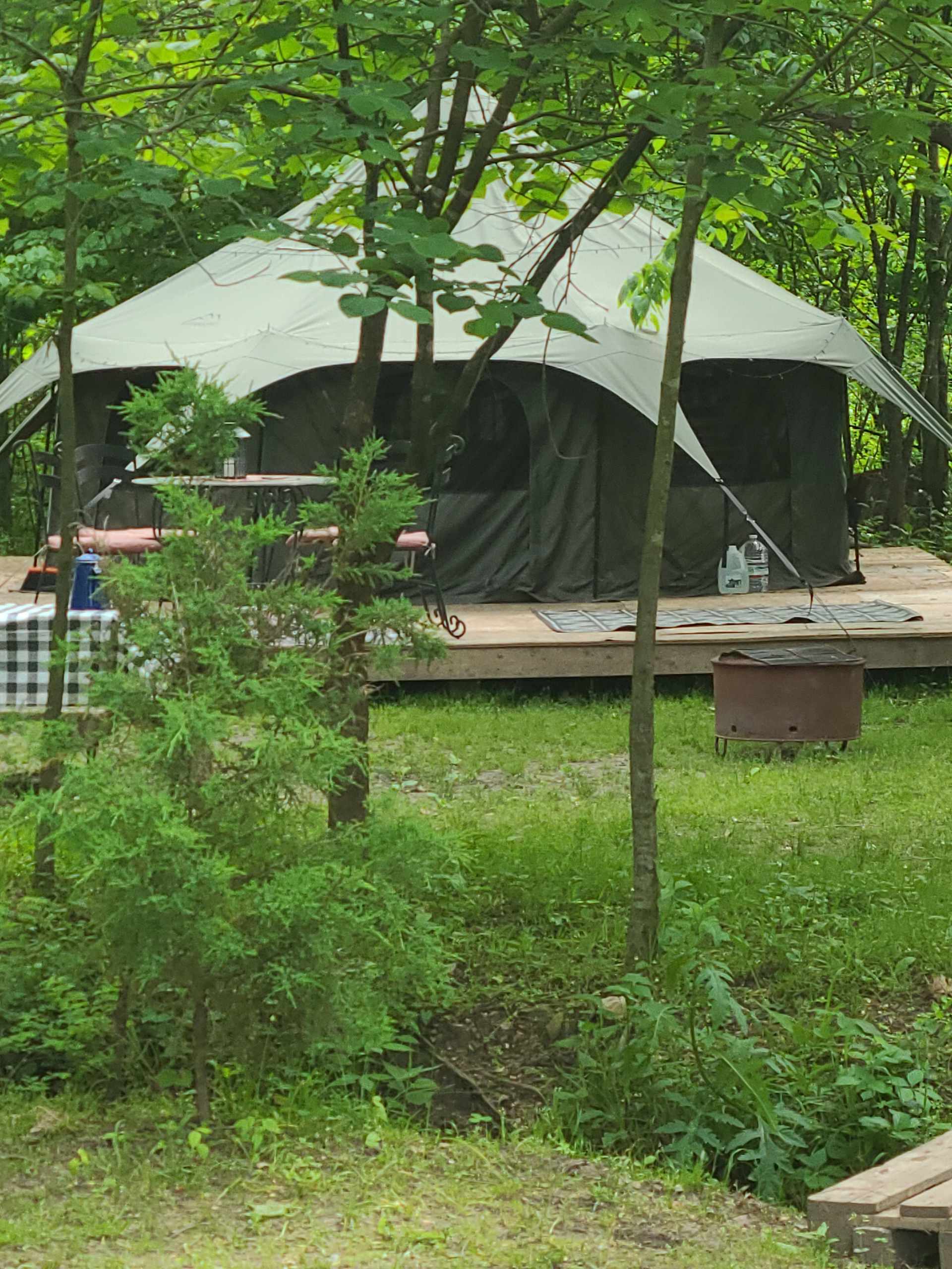 Picture of the site