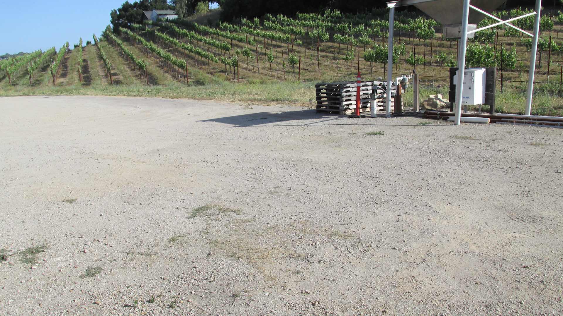 Picture of the site
