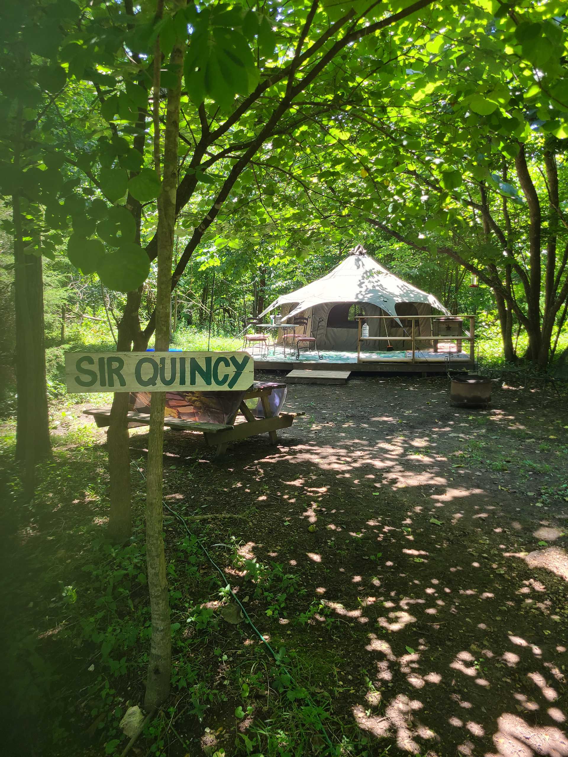 Picture of the site