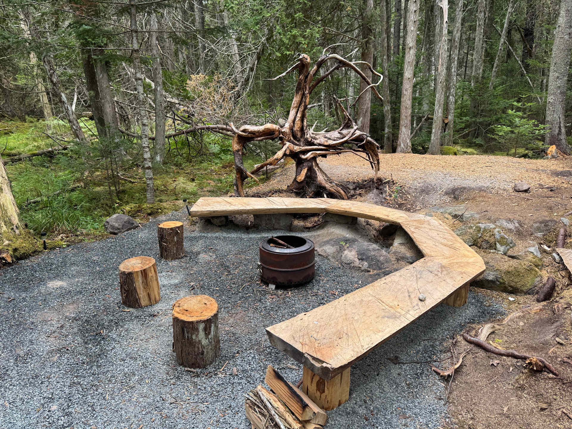 Picture of the site