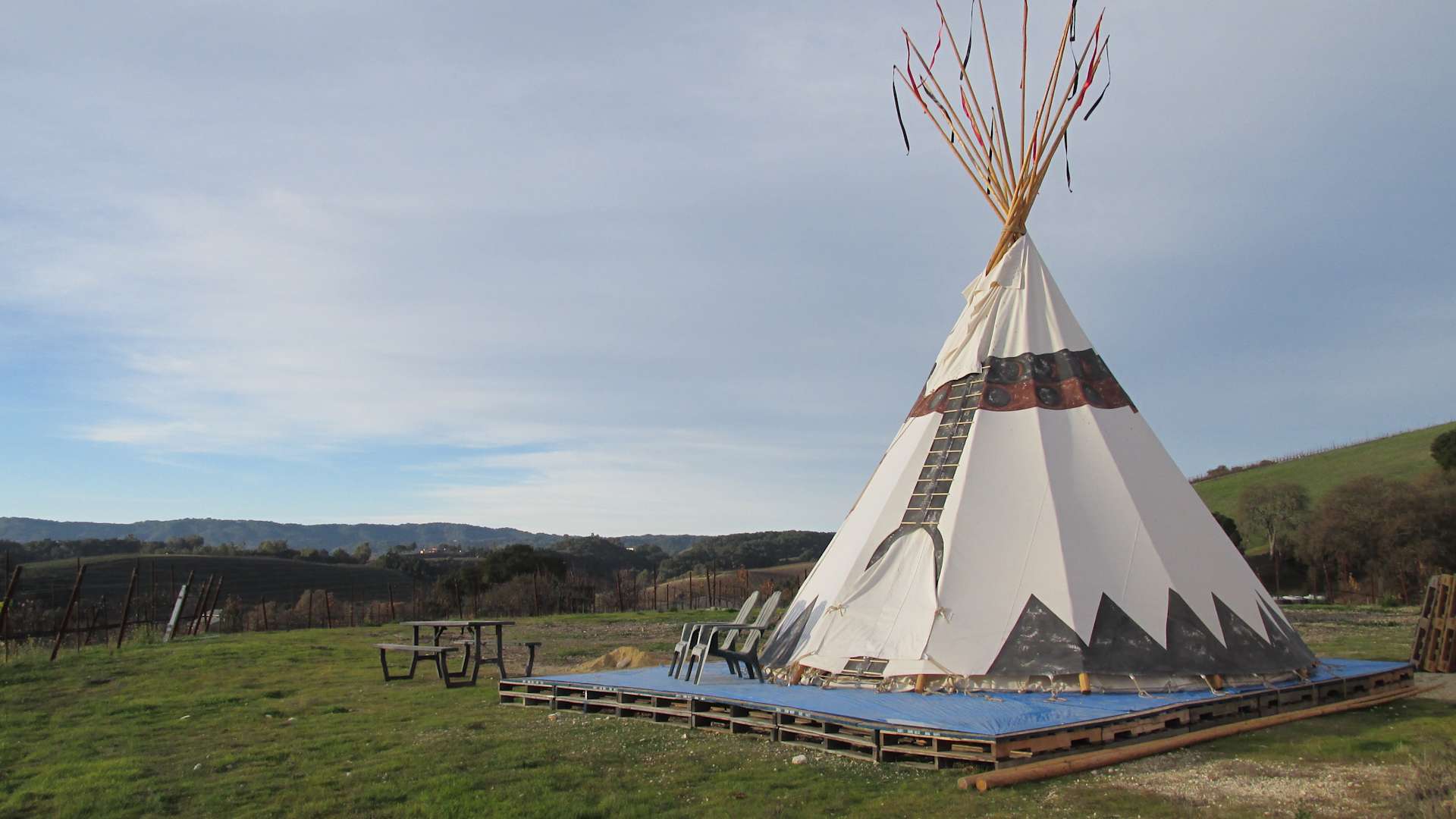 Picture of the site