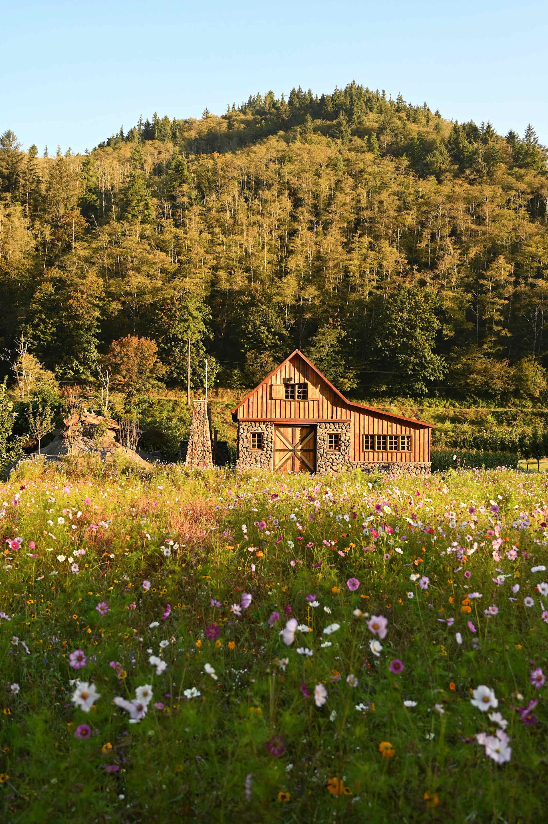Seasonal wildflower field at The Hydrangea Ranch