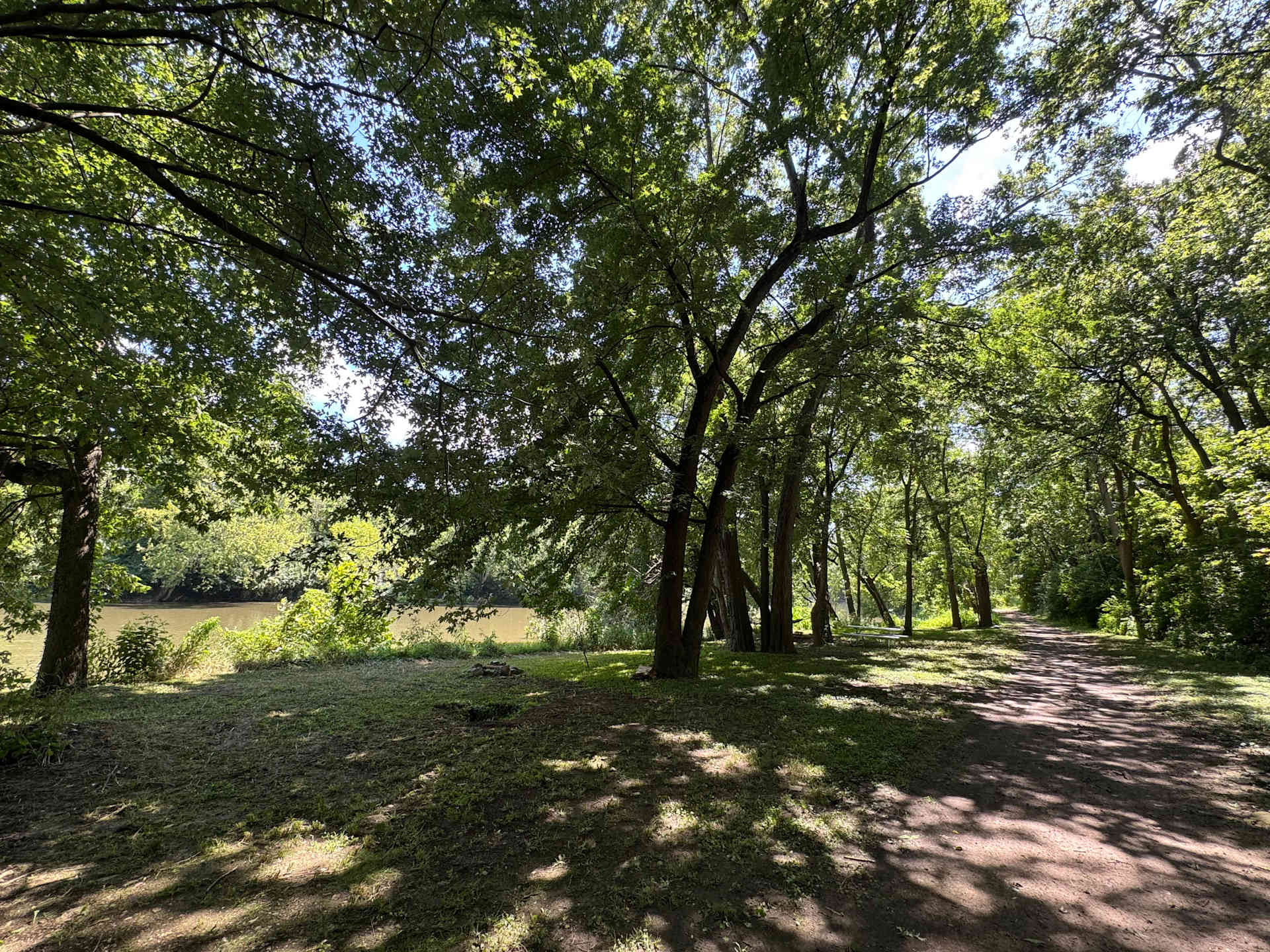 Picture of the site