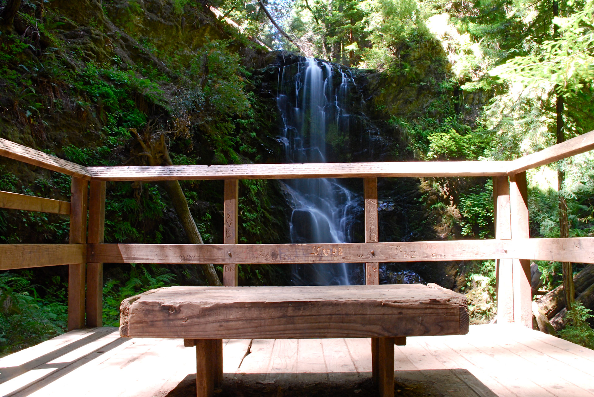 Big Basin Redwoods State Park