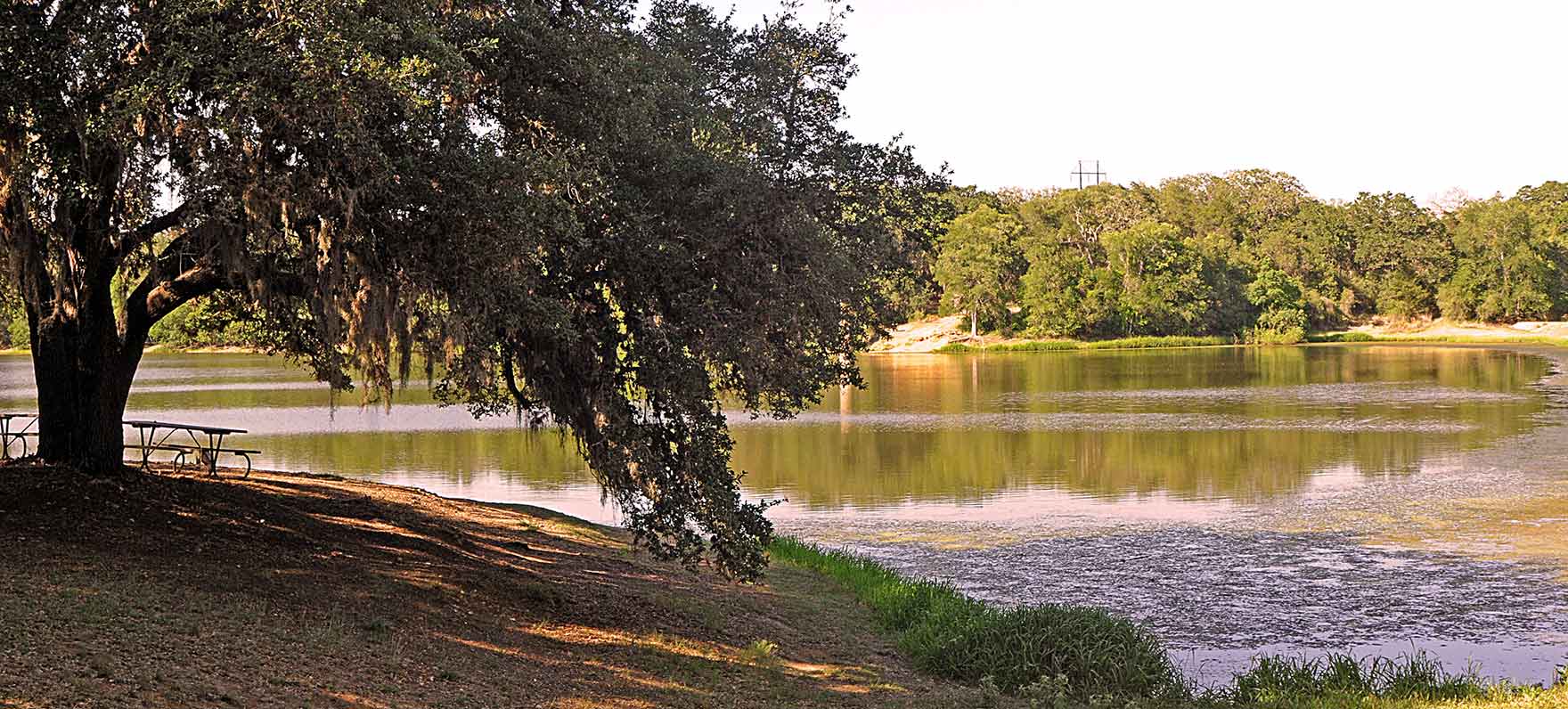 Buescher State Park