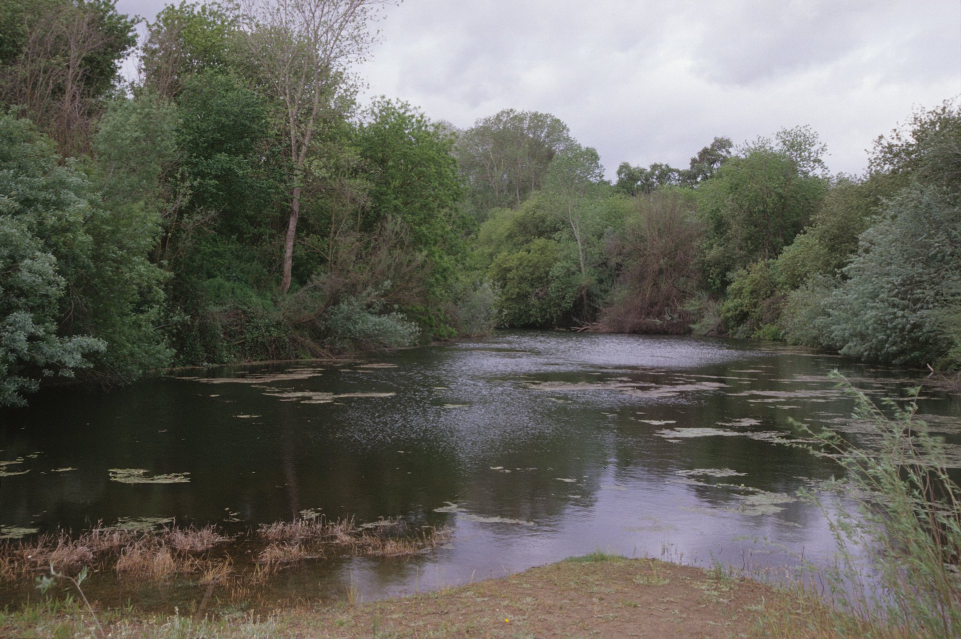 Caswell Memorial Campground